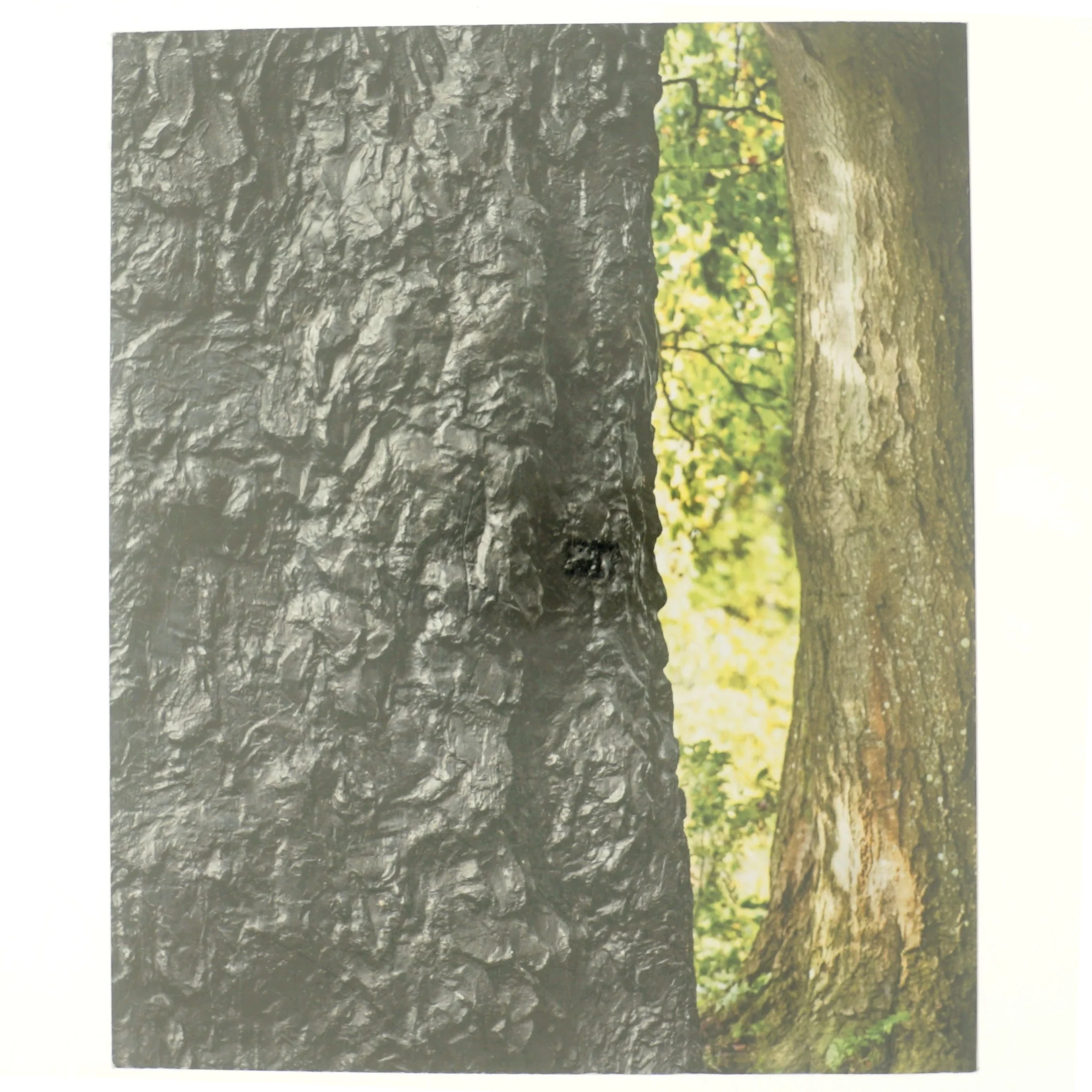 Bronze af Per Kirkeby