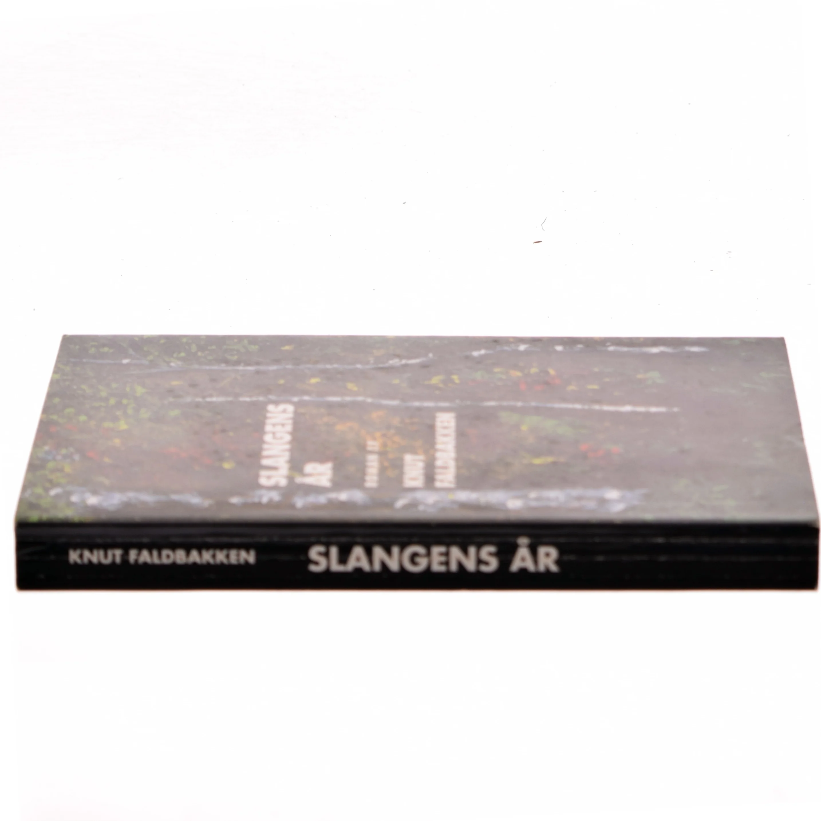 Slangens år af Knut Faldbakken (Bog)