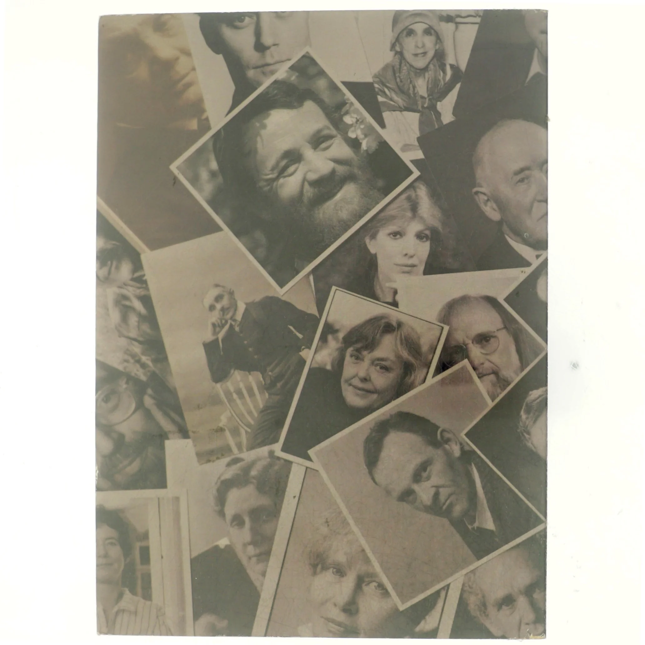 Forfatter i Danmark 1894/1994 af lisbeth Worsøe-Schmidt (bog)