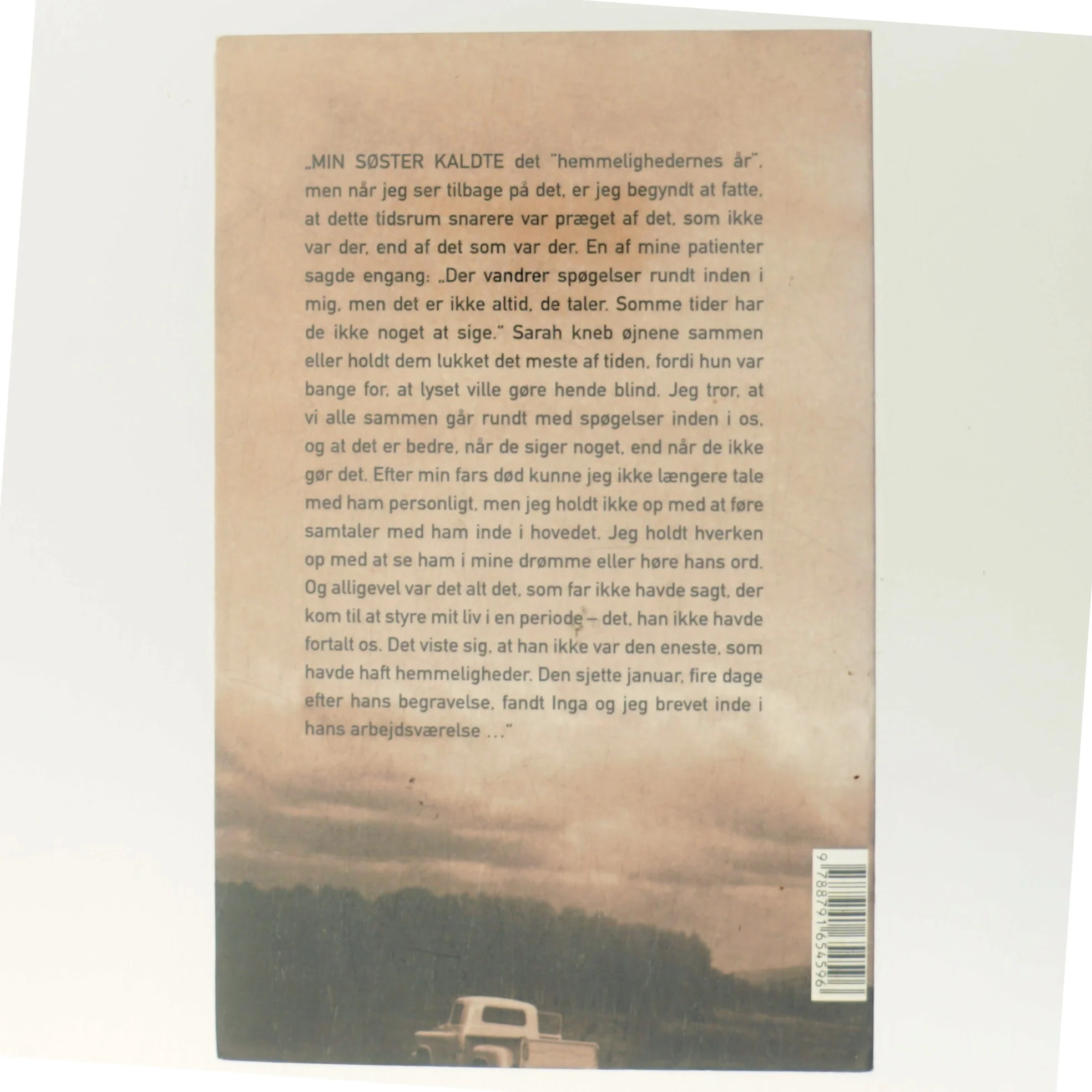 En amerikaners lidelser : roman af Siri Hustvedt (Bog)