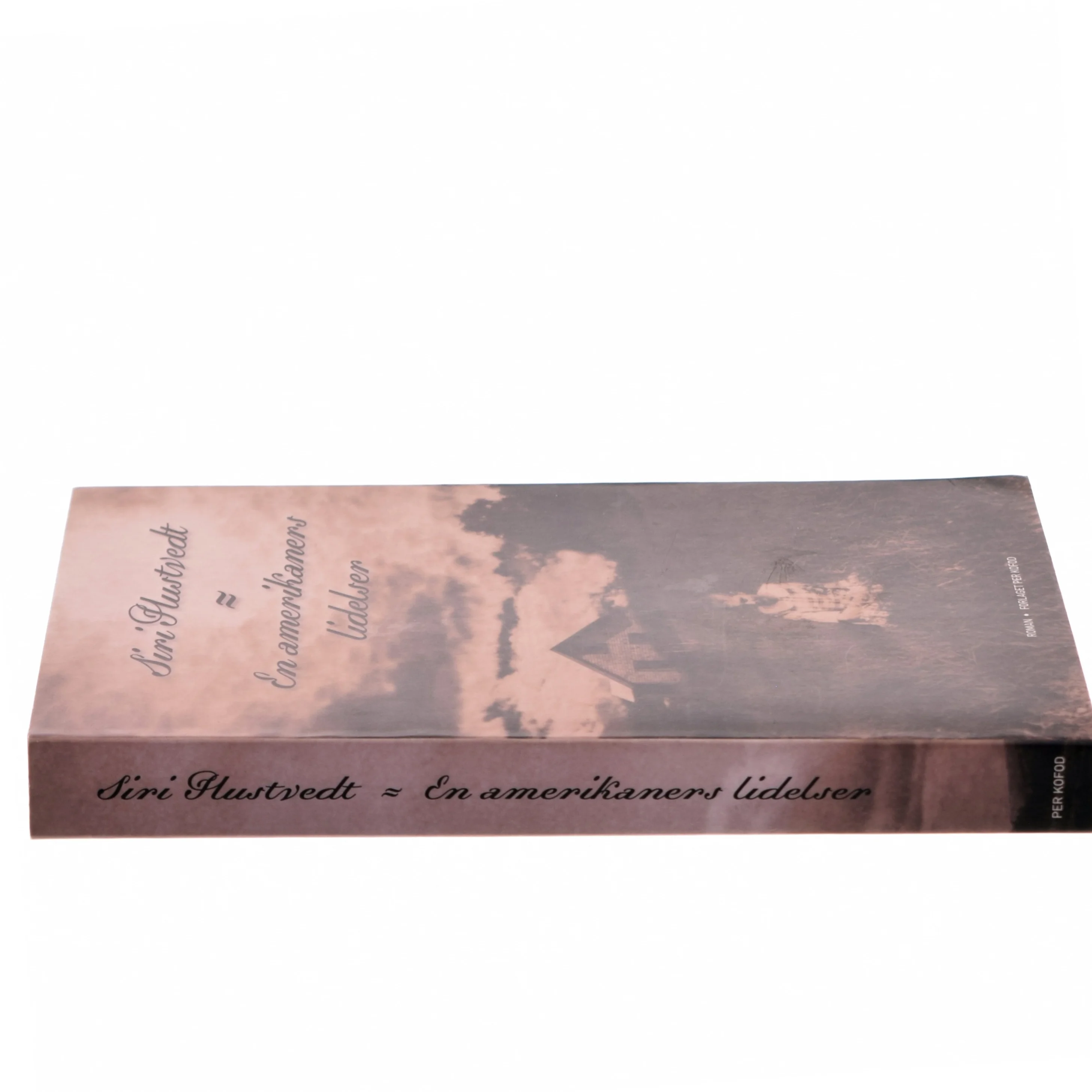 En amerikaners lidelser : roman af Siri Hustvedt (Bog)