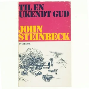 Til en ukendt gud af John Steinbeck (bog)