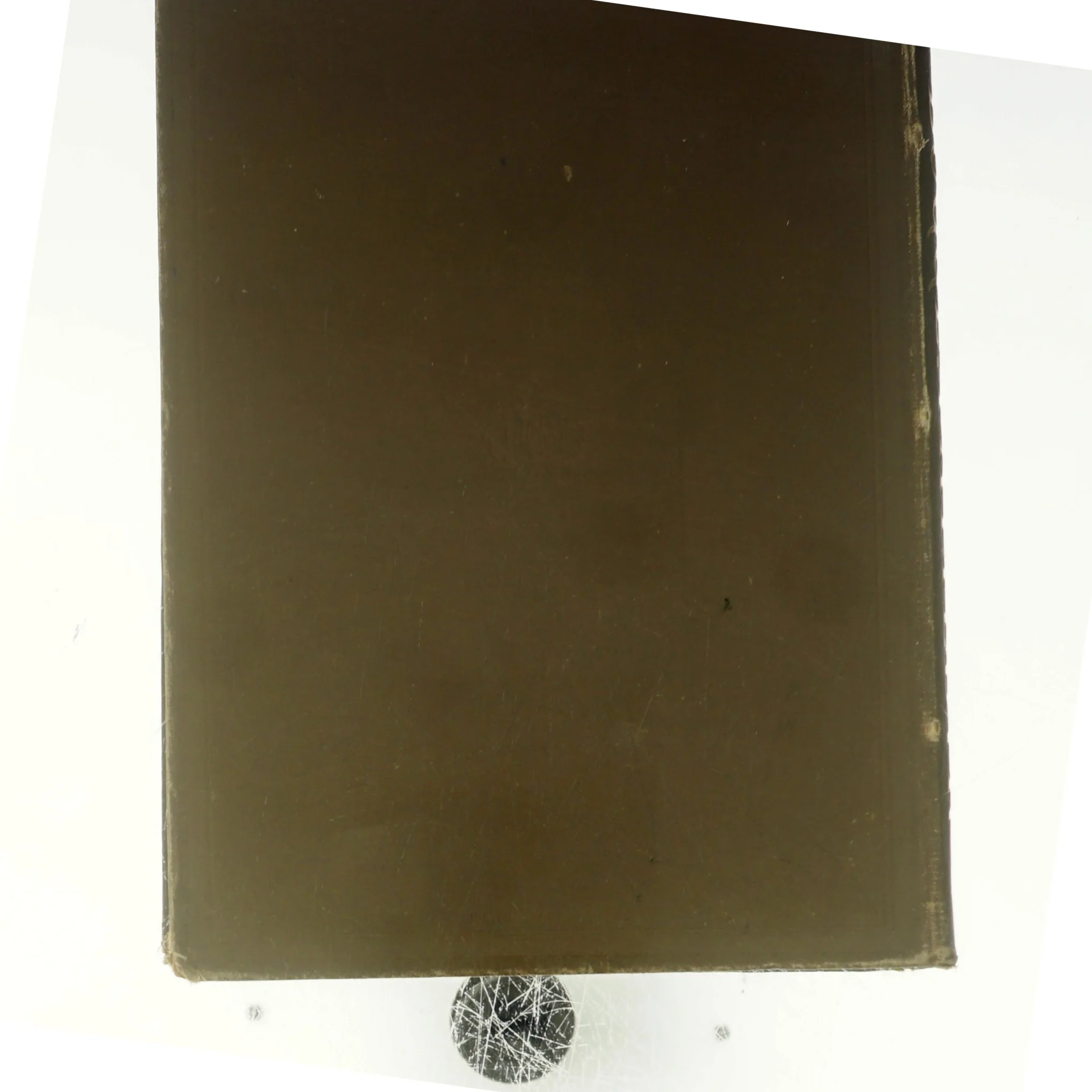 Pattedyr af Johan Martin Bugge (bog)