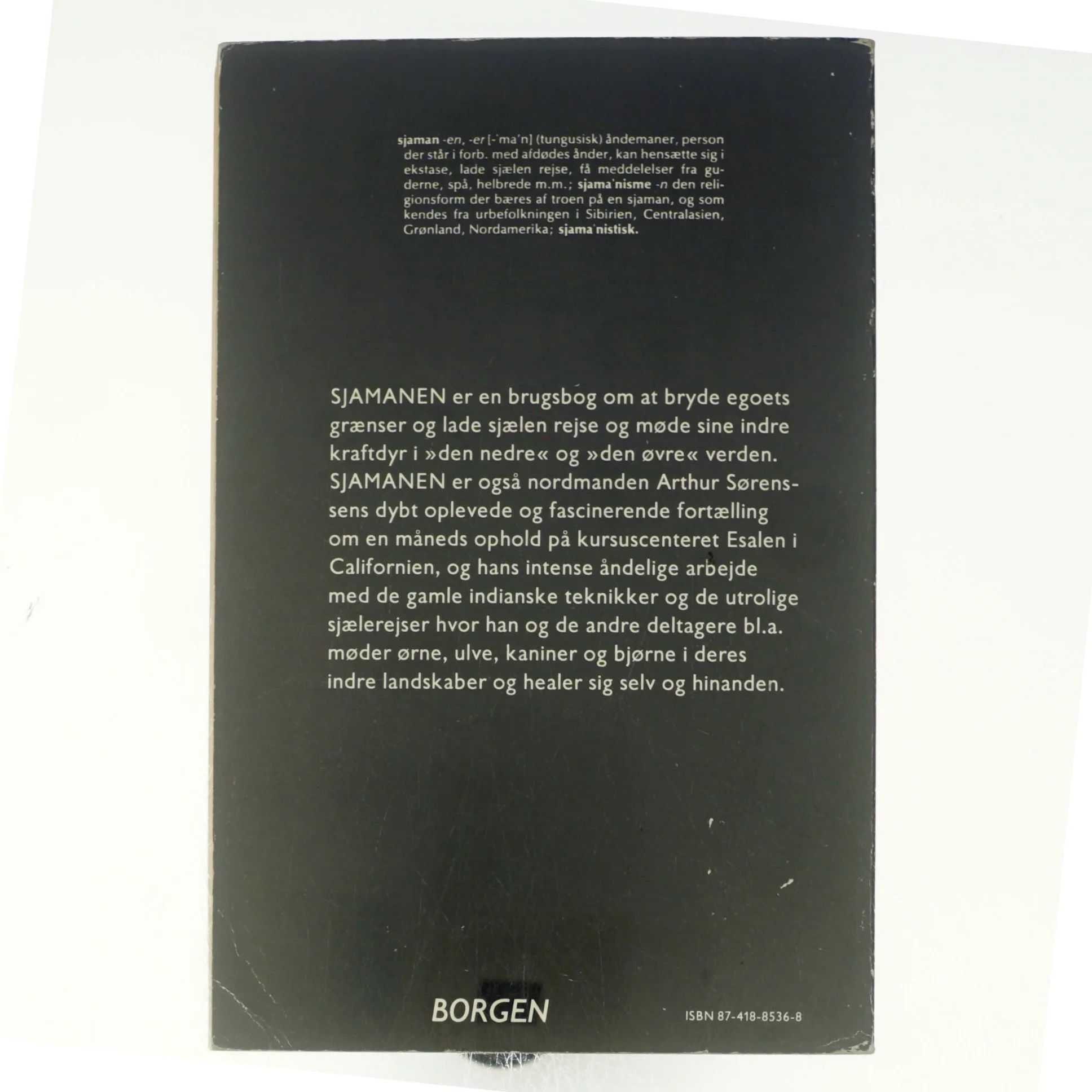 Sjamanen af Arthur Sørensen (bog)