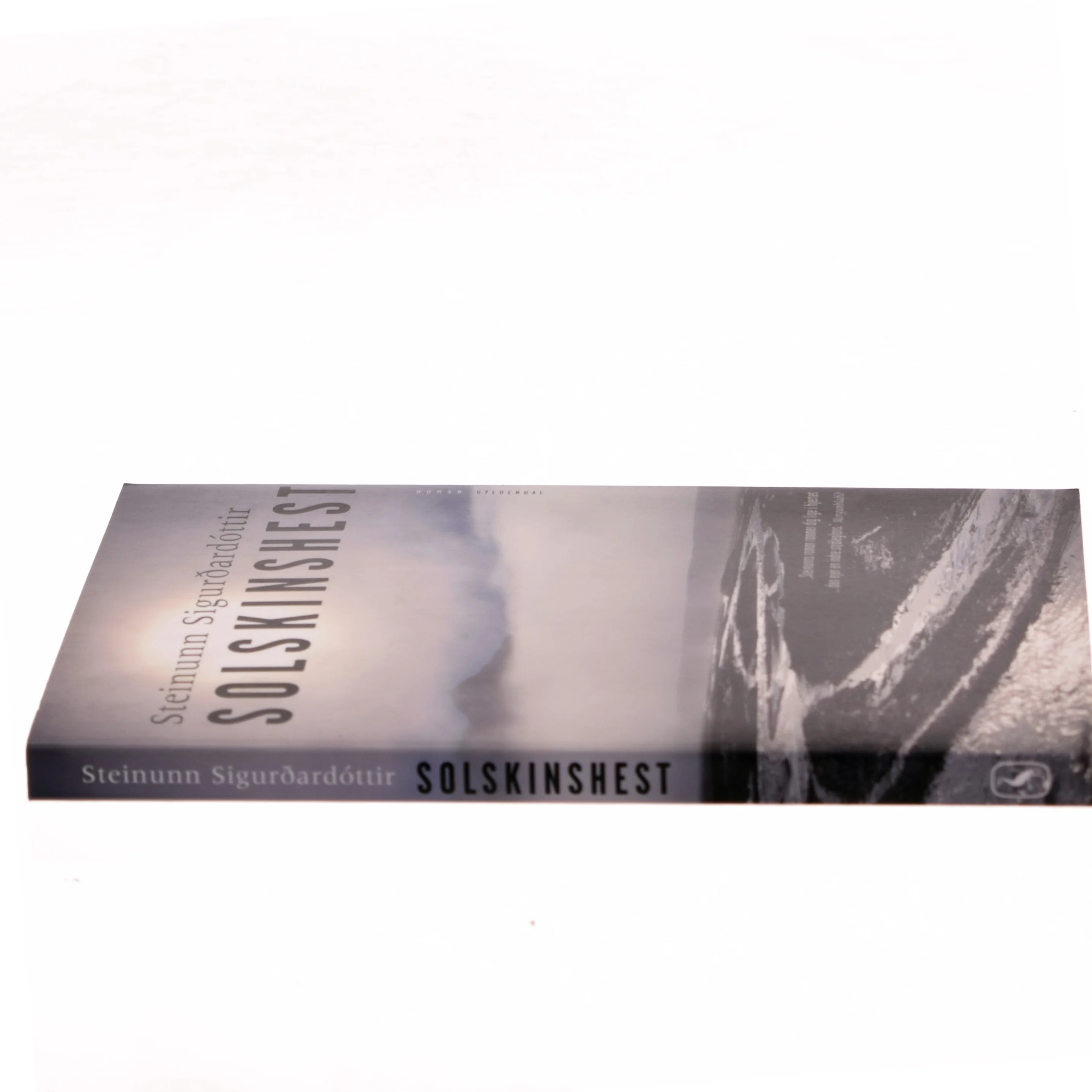 Solskinshest : roman af Steinunn Sigurðardóttir (Bog)