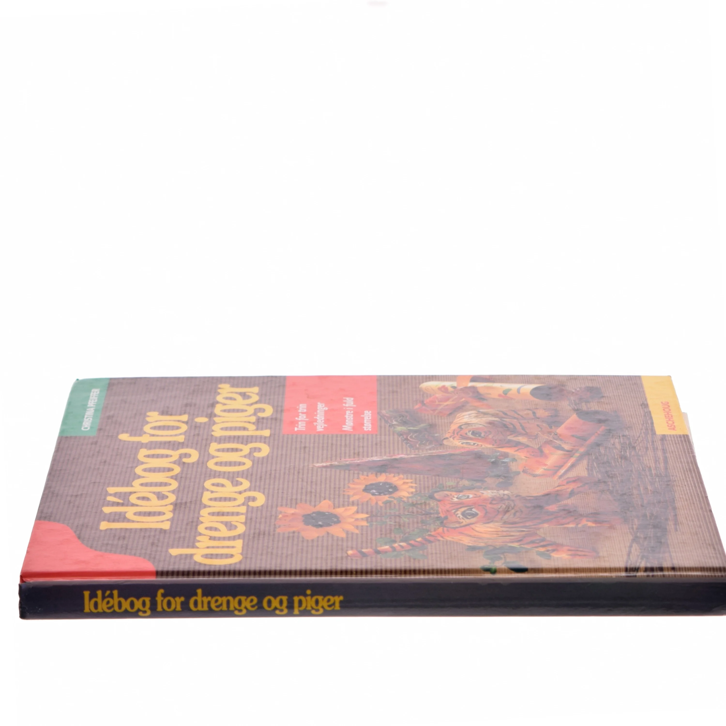 Idébog for drenge og piger af Christina Pfeiffer (Bog)