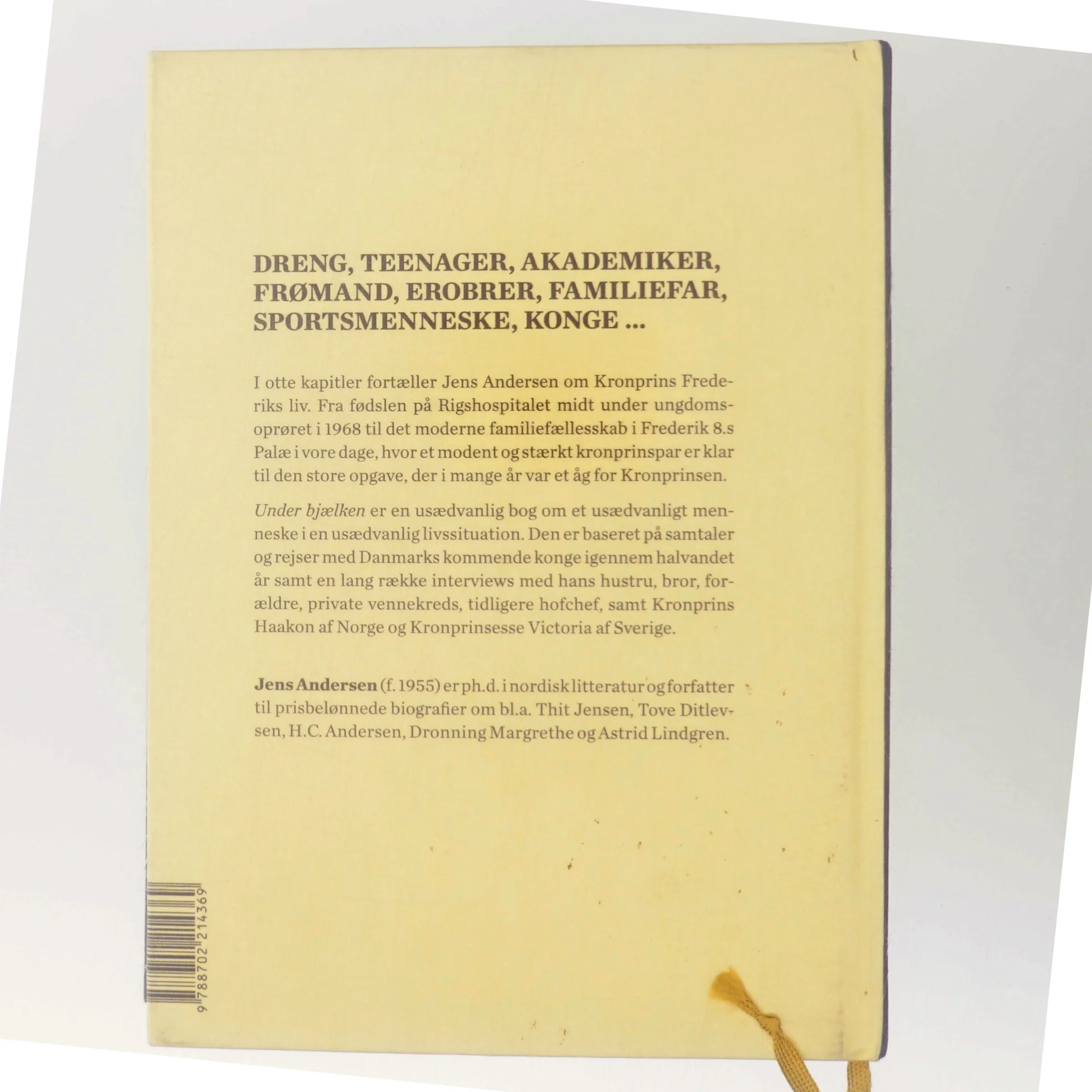 Under bjælken af Jens Andersen (f. 1955) (Bog)