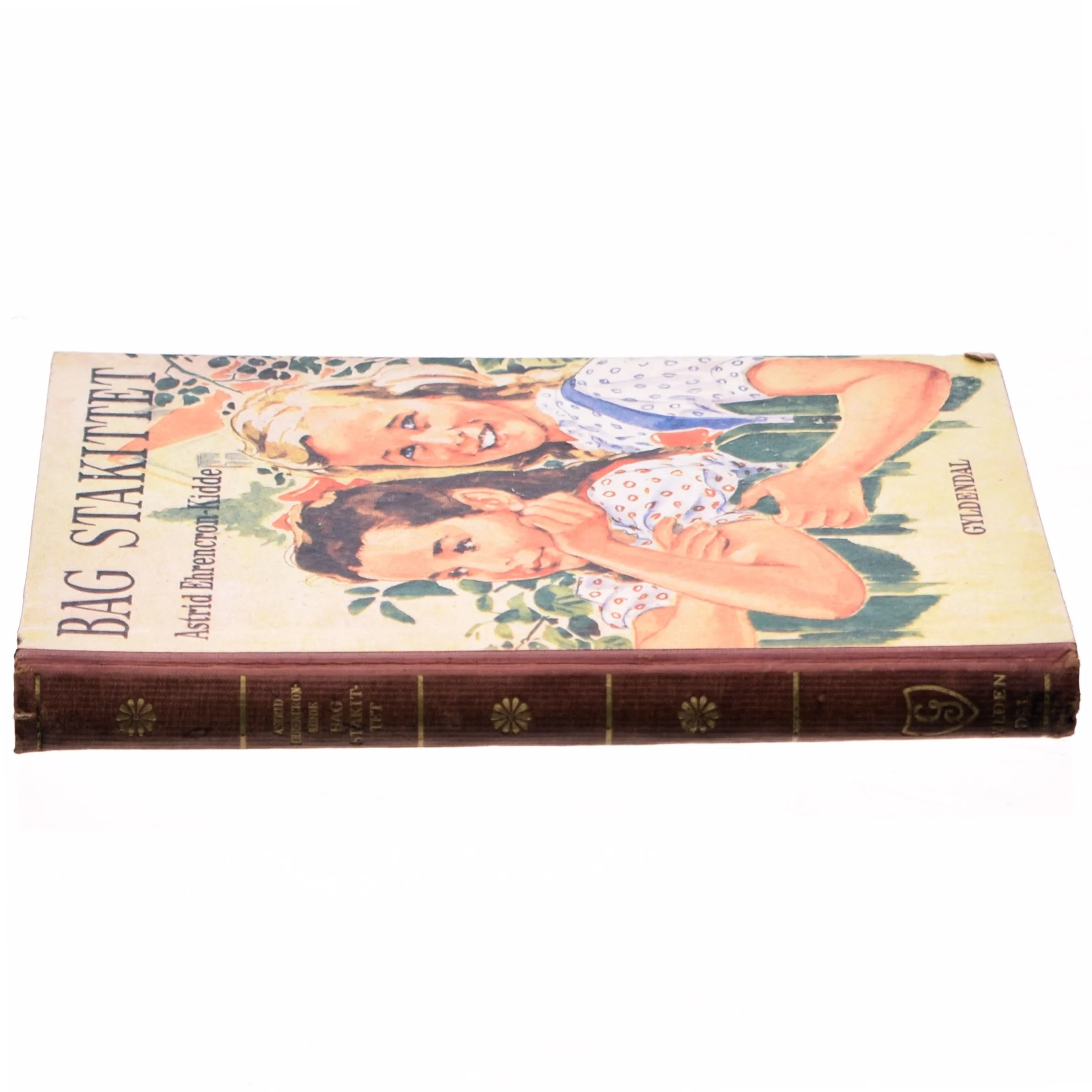 Bag stakittet af Astrid Ehrencron-Kidde (bog)
