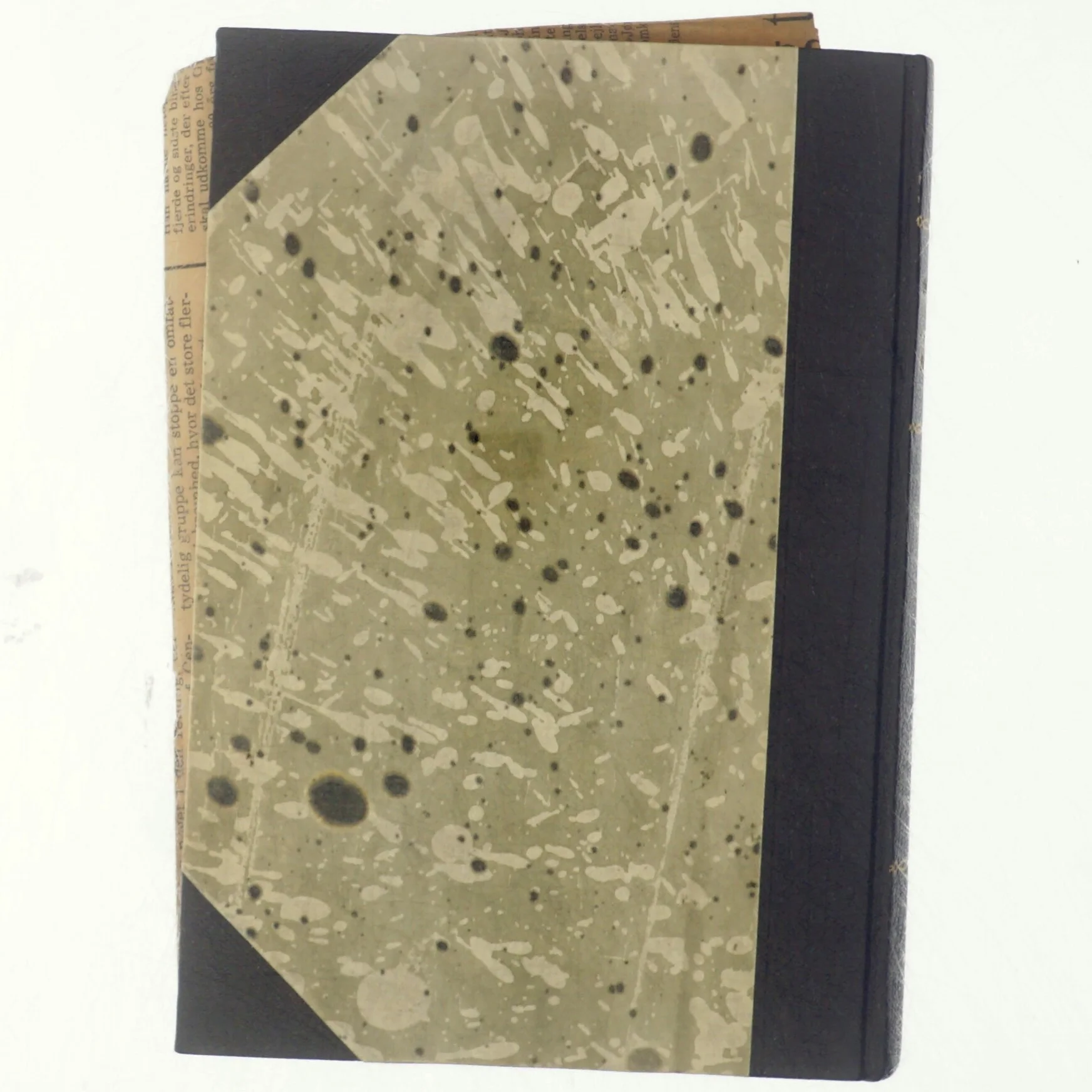 Jacob Paludan af Orla Lundbo