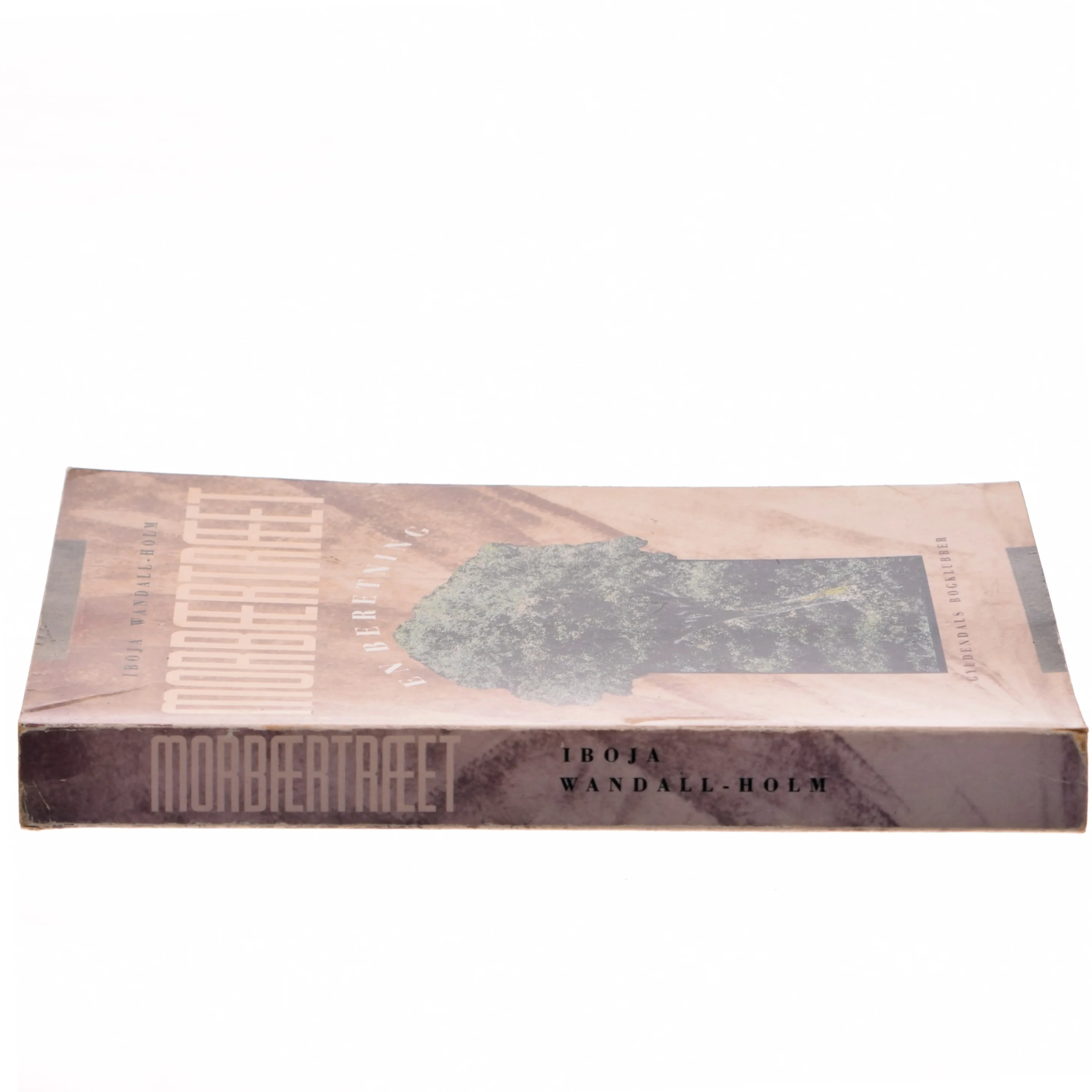 Morbertræet af Iboja Wandall-Holm (Bog)