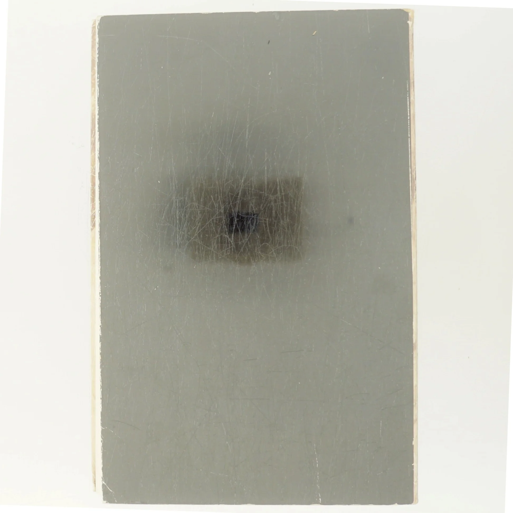 Morbertræet af Iboja Wandall-Holm (Bog)