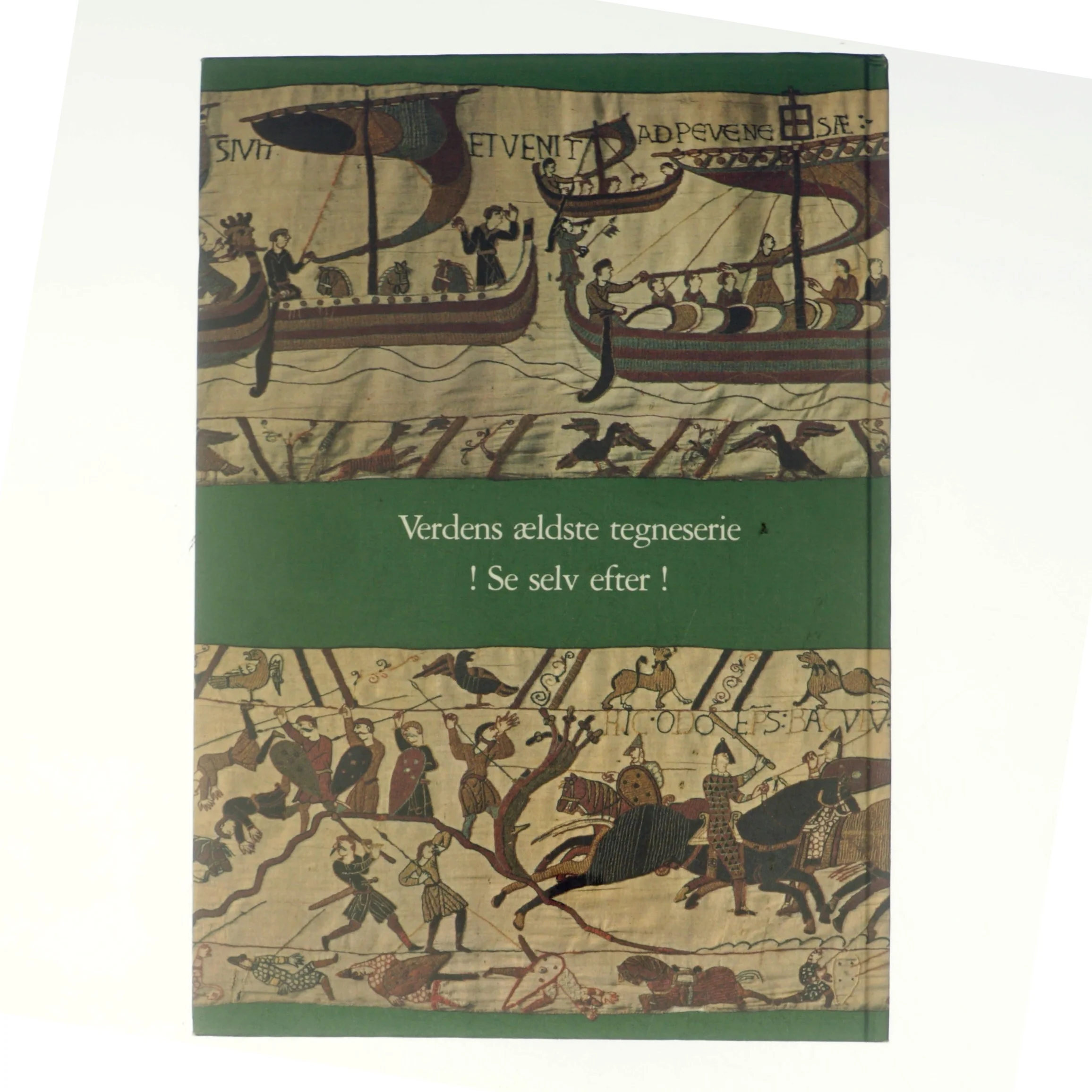 Bayeuxtapetet og slaget ved Hastings af Mogens Rud (bog)