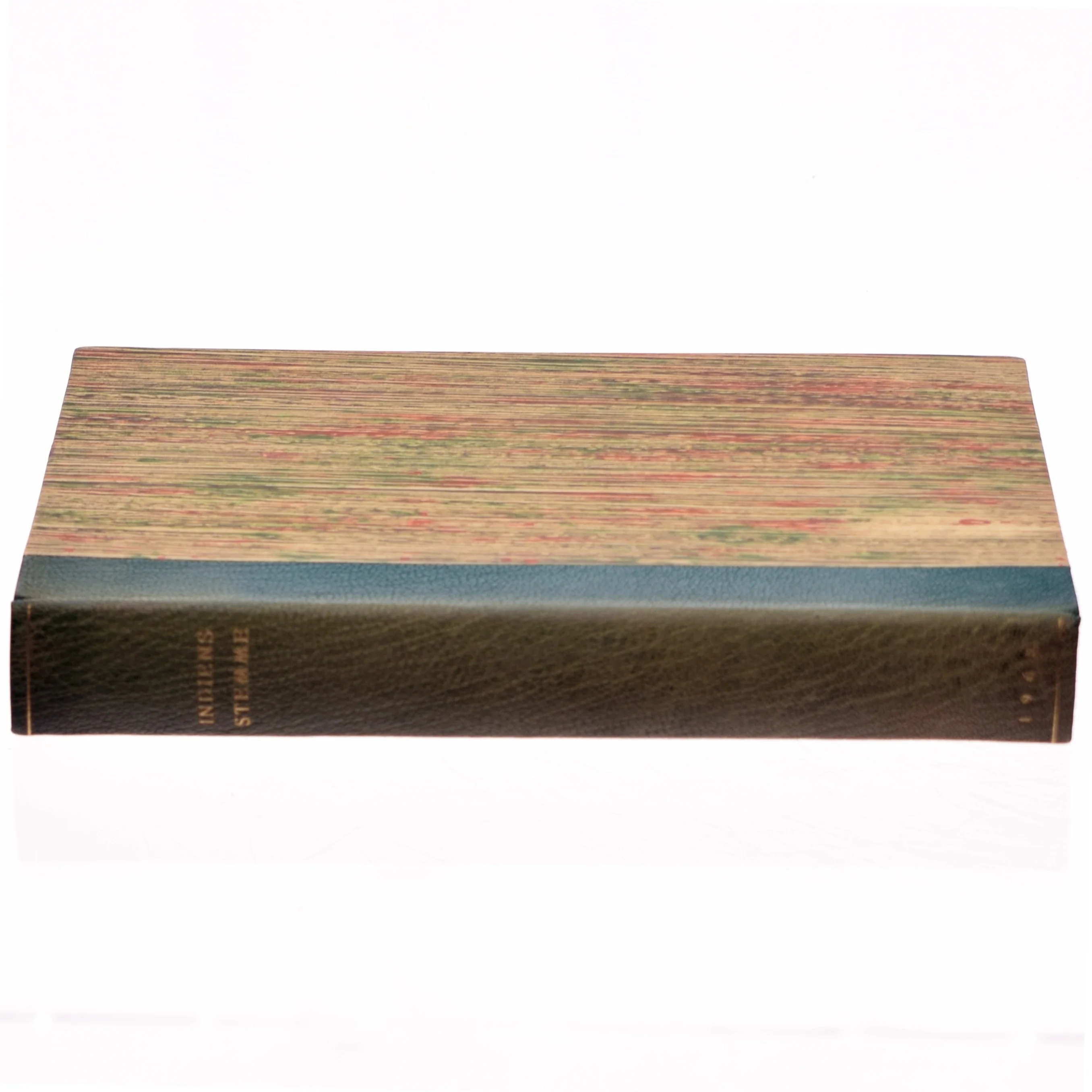 Indiens stemme af Niels Kaas Johansen (red.) (bog)