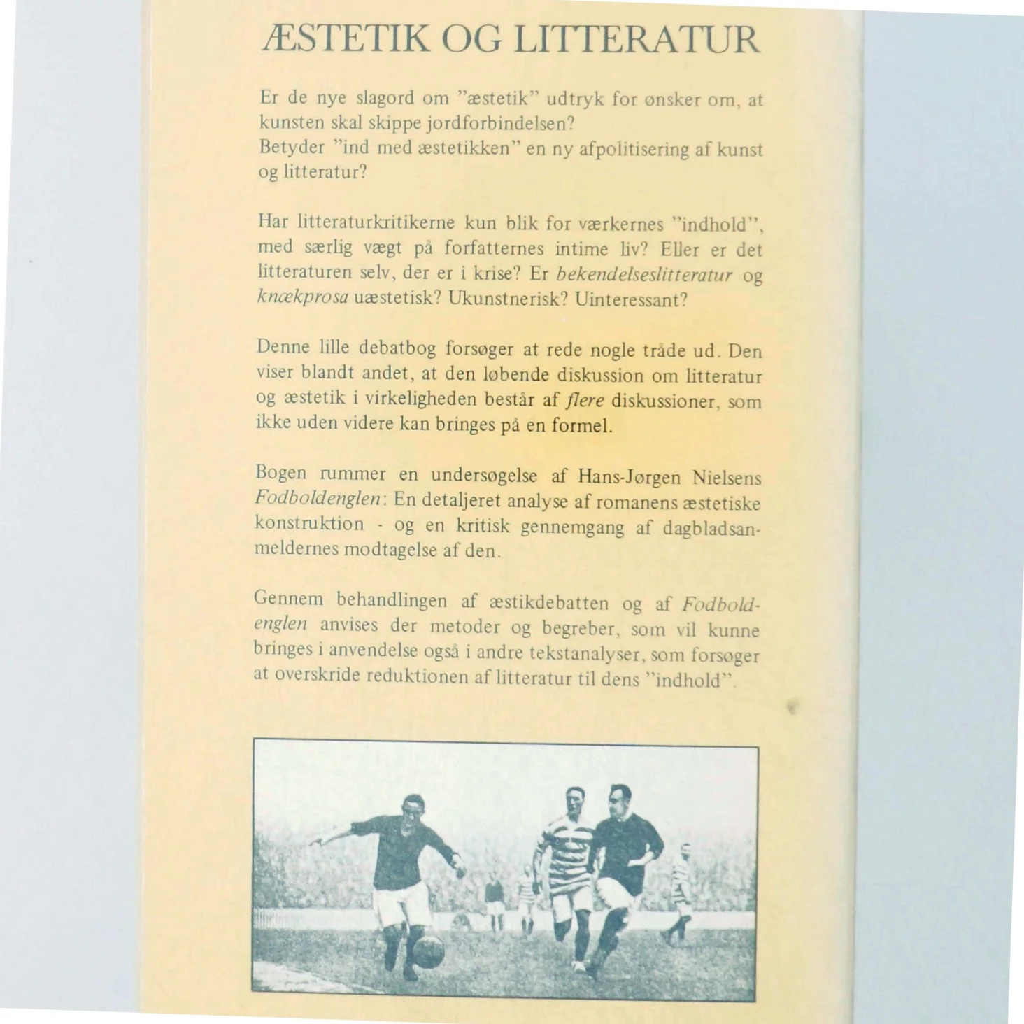 Morten Kyndrup: Æstetik og litteratur