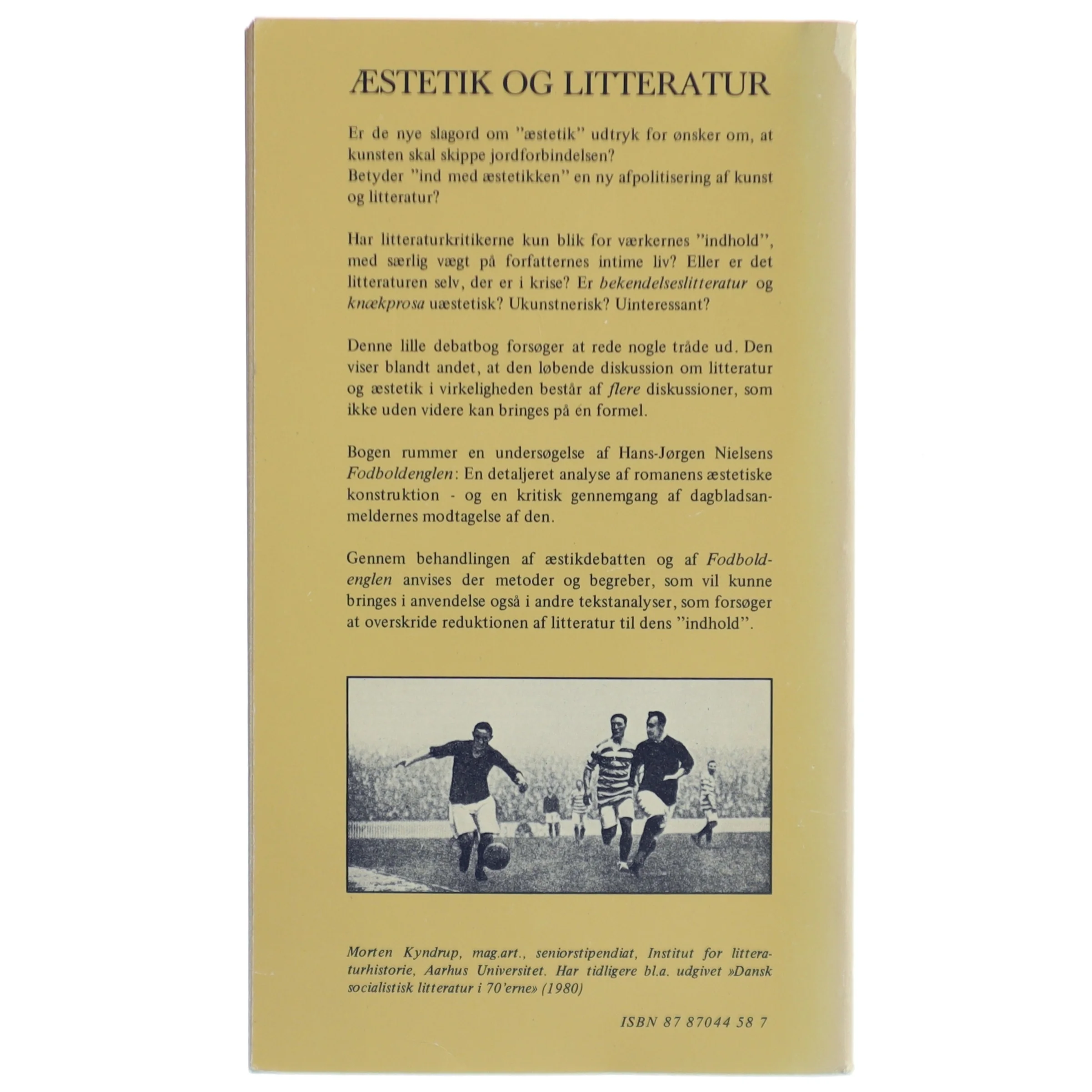 Morten Kyndrup: Æstetik og litteratur