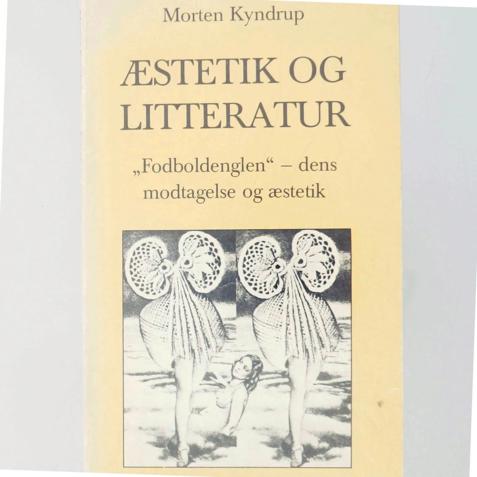 Morten Kyndrup: Æstetik og litteratur