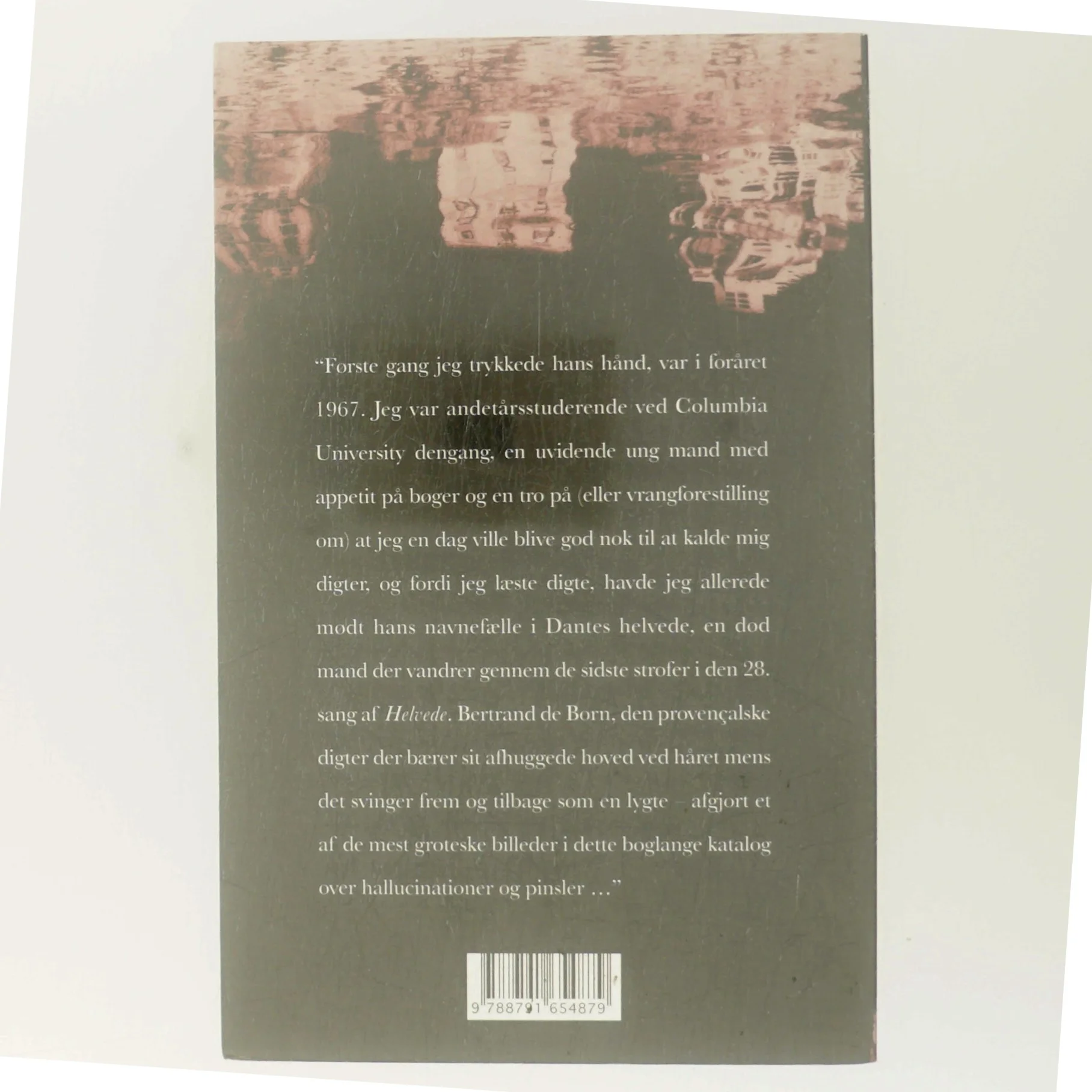 Usynlig : roman af Paul Auster (Bog)