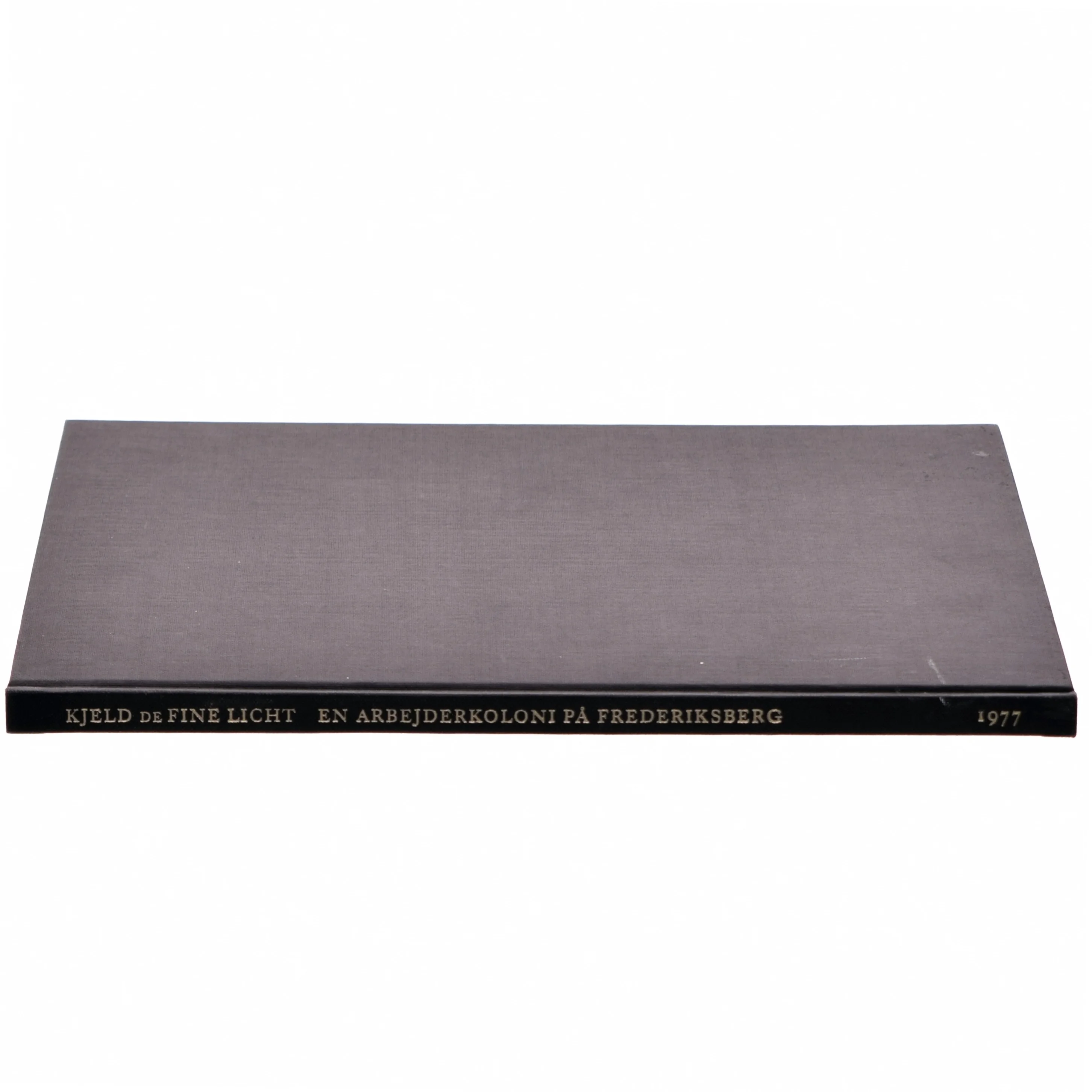 En arbejderkoloni på Frederiksberg af Kjeld de Fine Licht (bog)