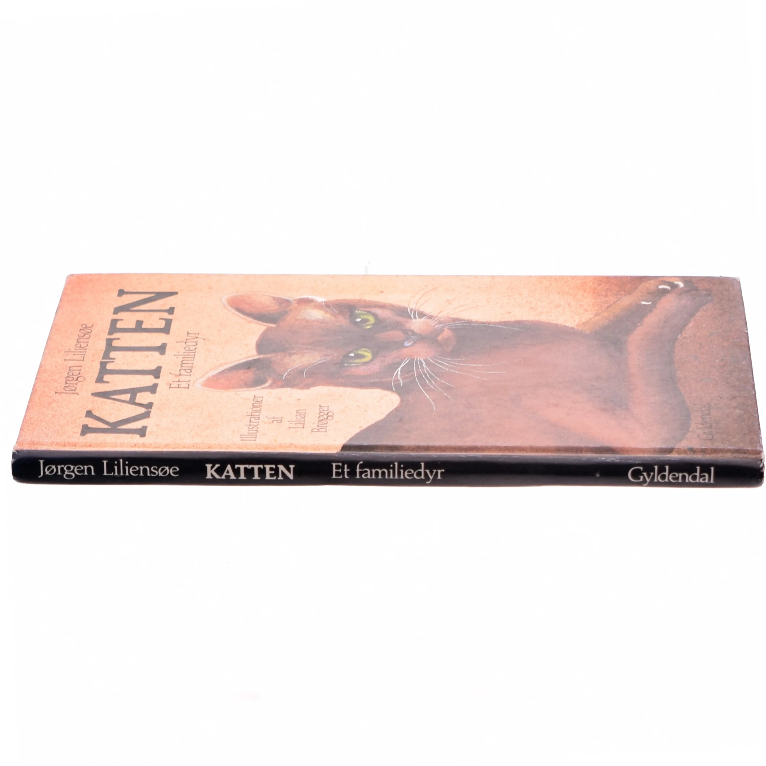 Katten. et familiedyr af Jørgen Liliensøe