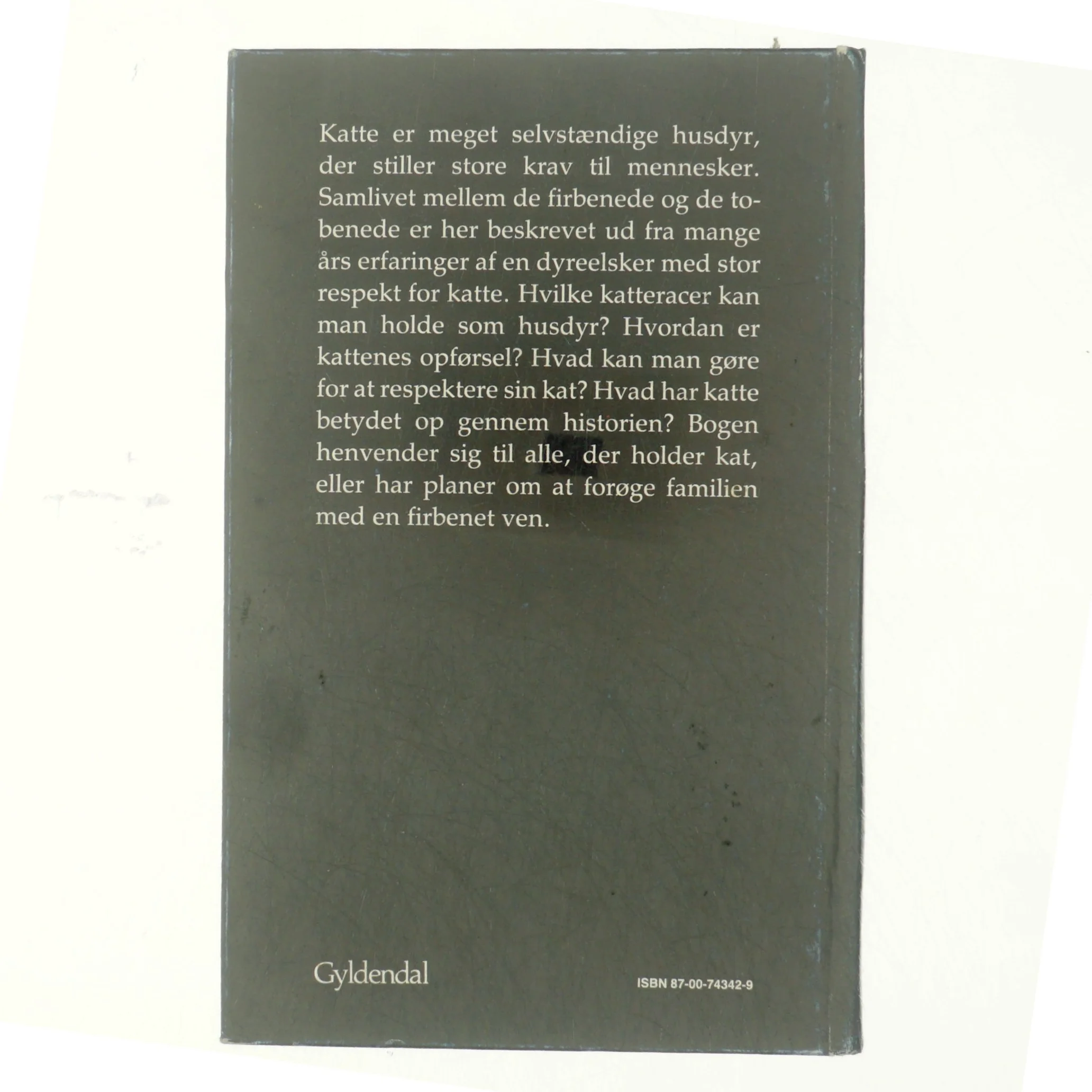 Katten. et familiedyr af Jørgen Liliensøe