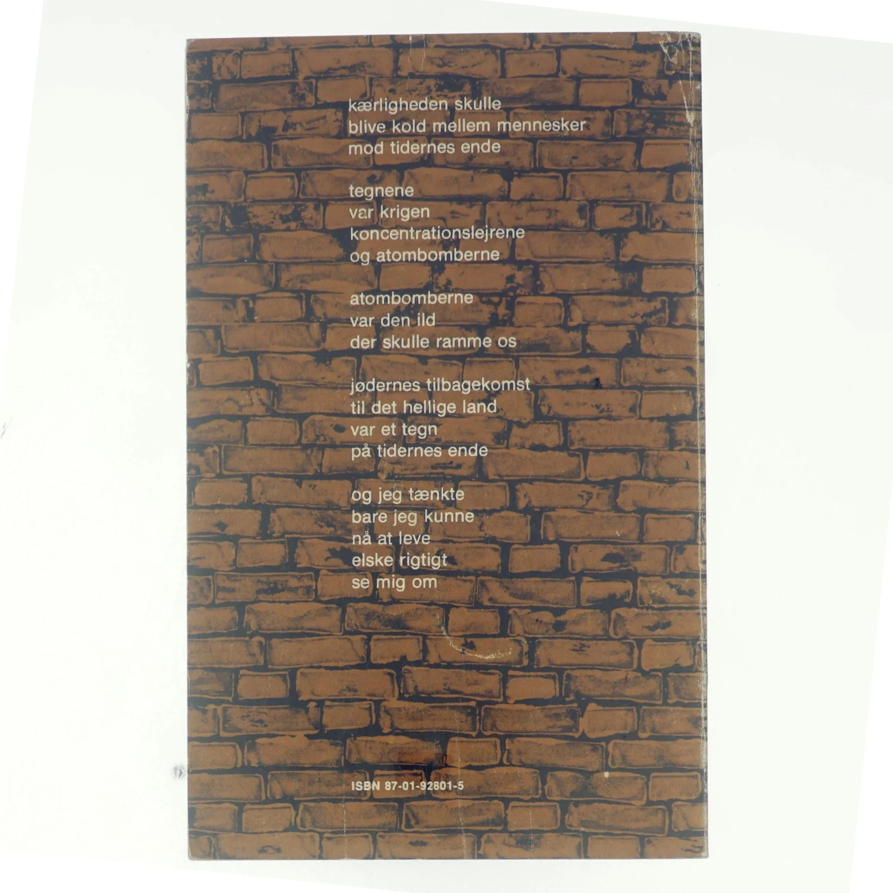 Drengedigte af Lean Nielsen (bog)