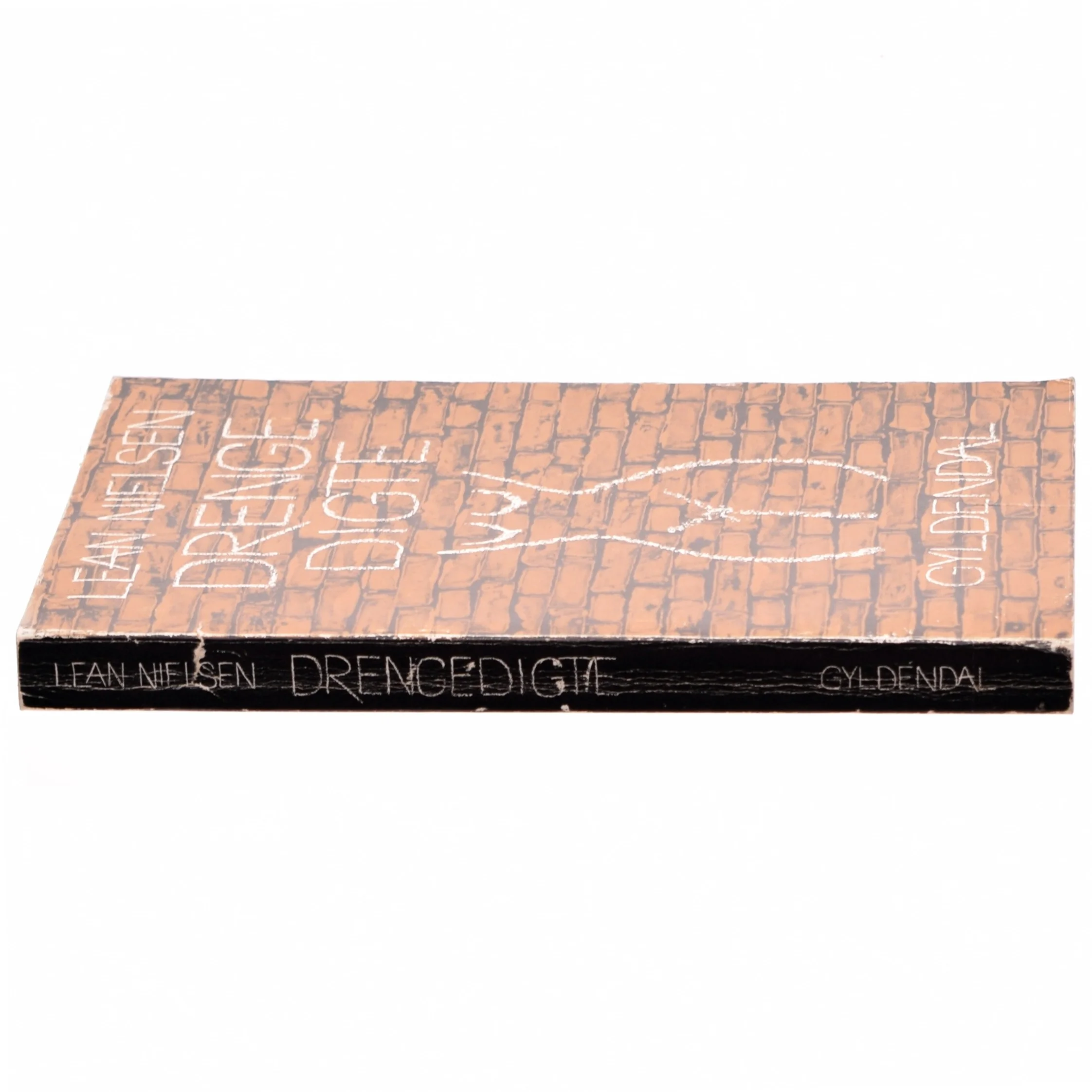 Drengedigte af Lean Nielsen (bog)