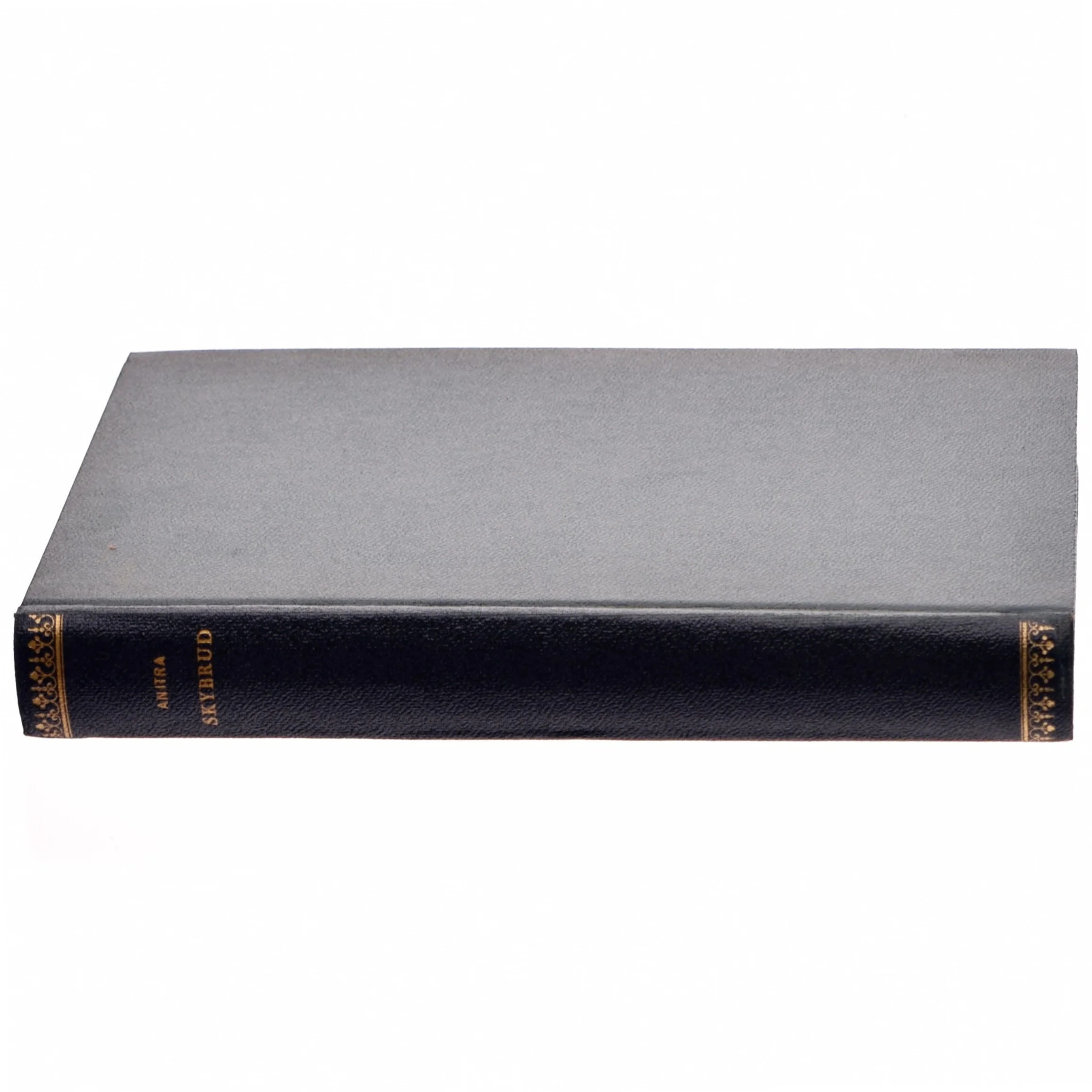 Skybrud af Anitra (bog)