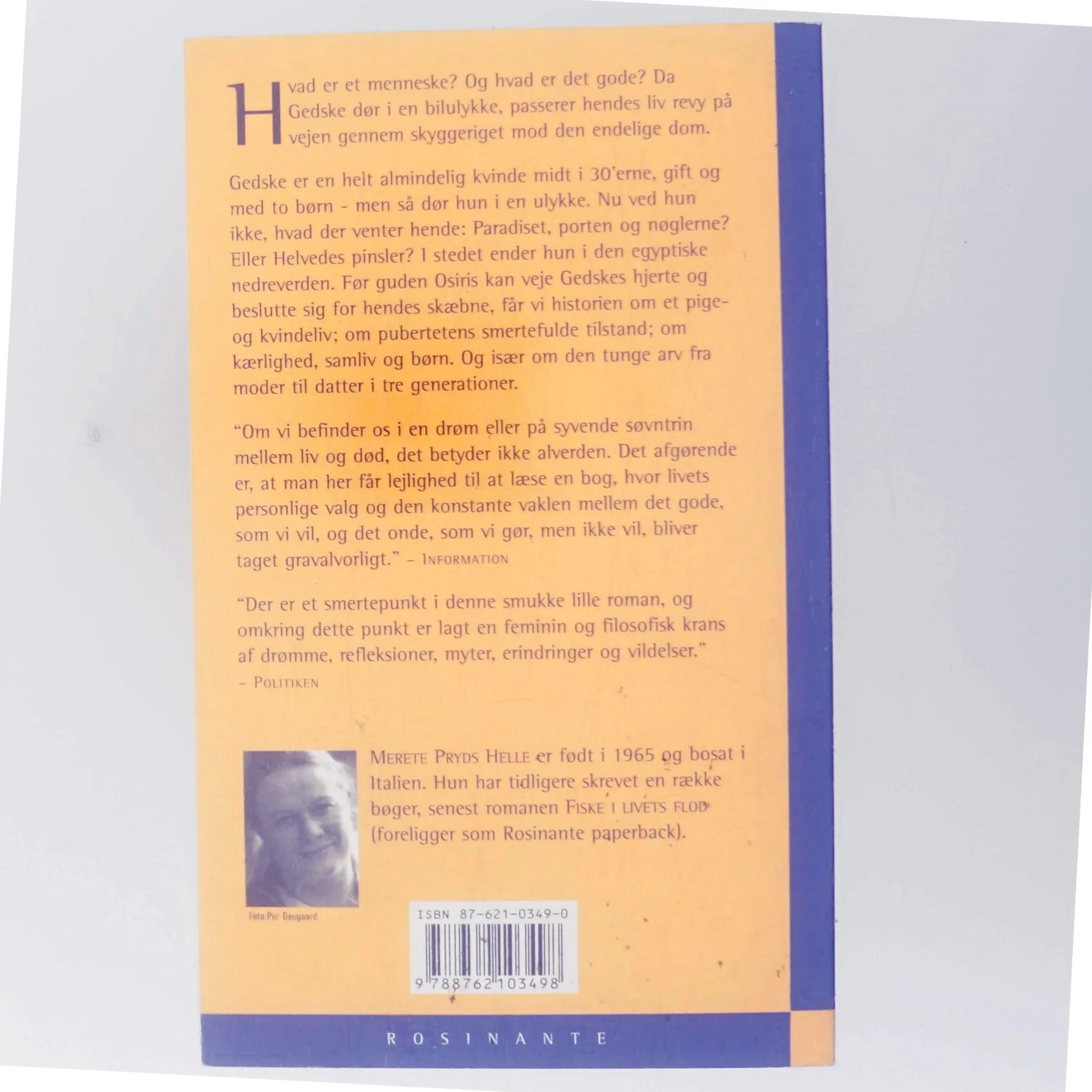 Solsiden : roman af Merete Pryds Helle (Bog)