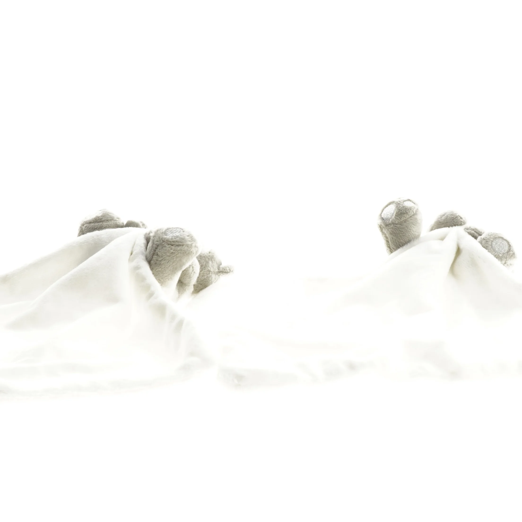 Bamse med sutteklud fra Tryg (str. 25x25 cm)