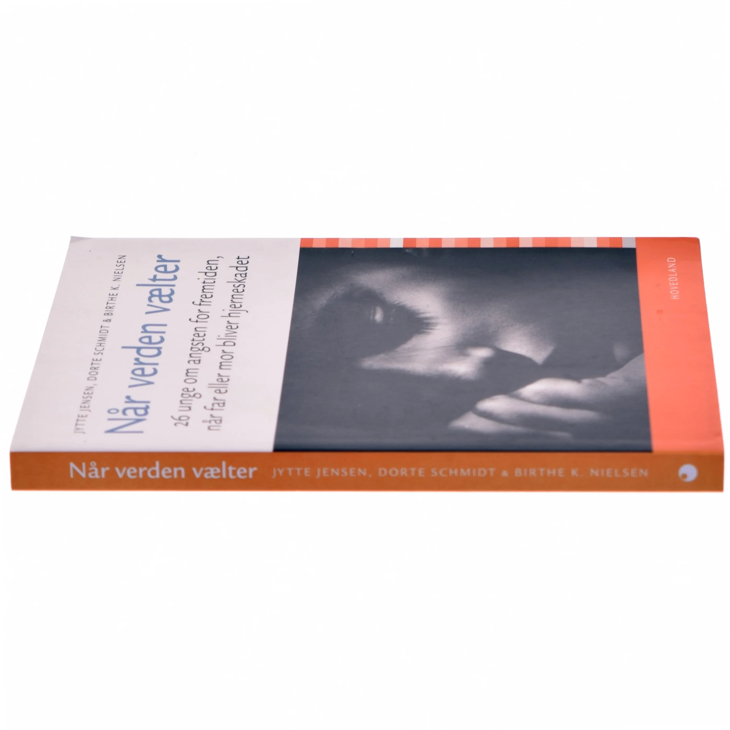 Når verden vælter : 26 unge om angsten for fremtiden, når far eller mor bliver hjerneskadet (Bog)