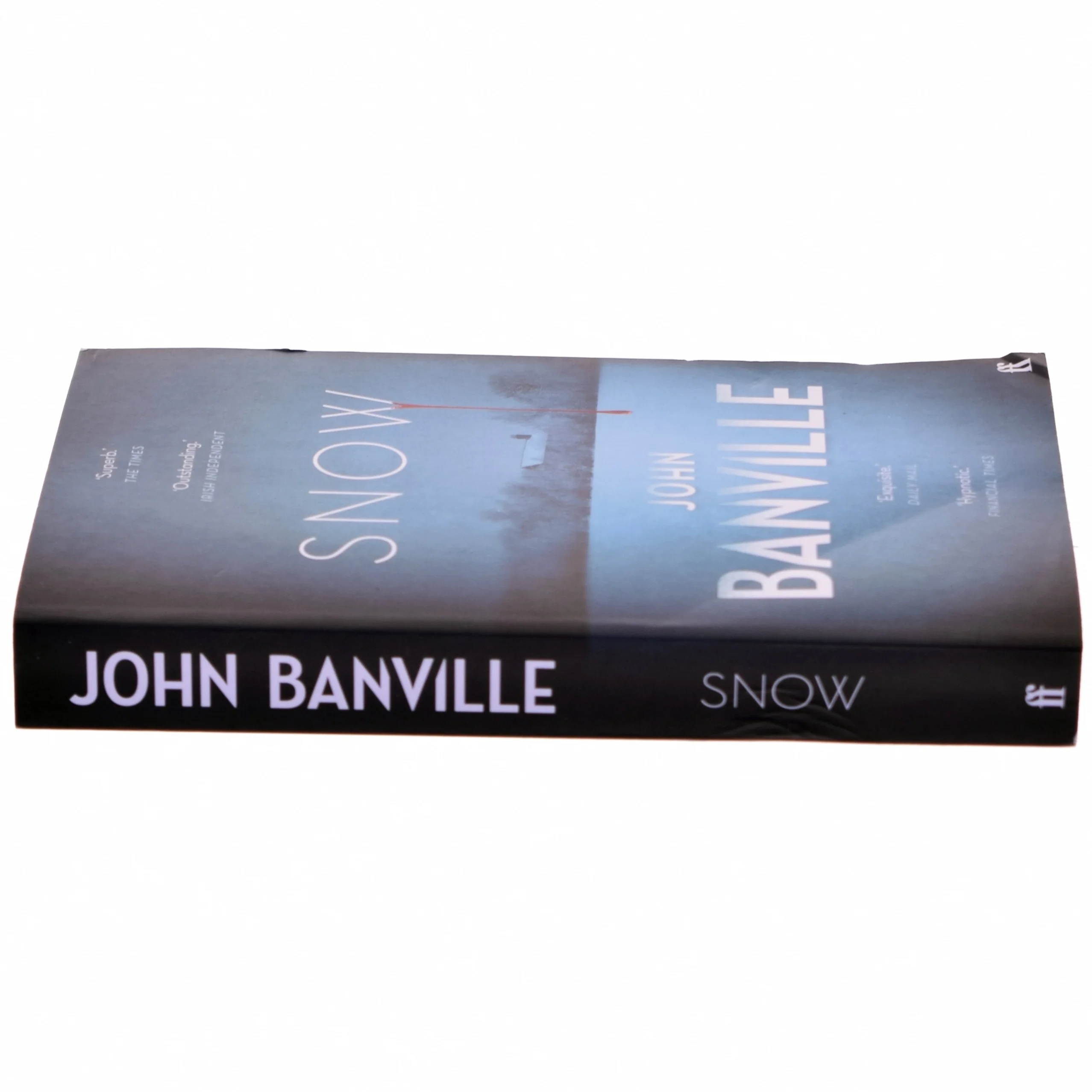 Snow af John Banville (Bog)