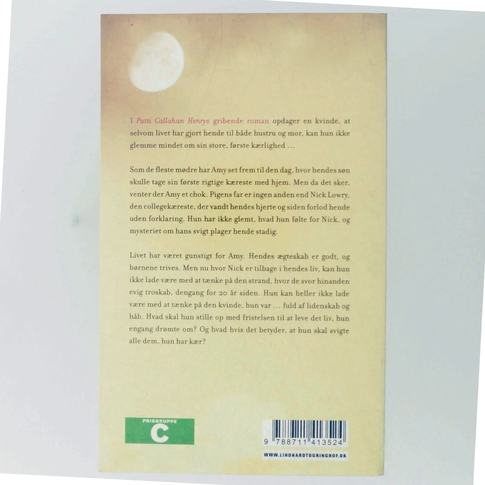 I månens skær af Patti Callahan Henry (Bog)