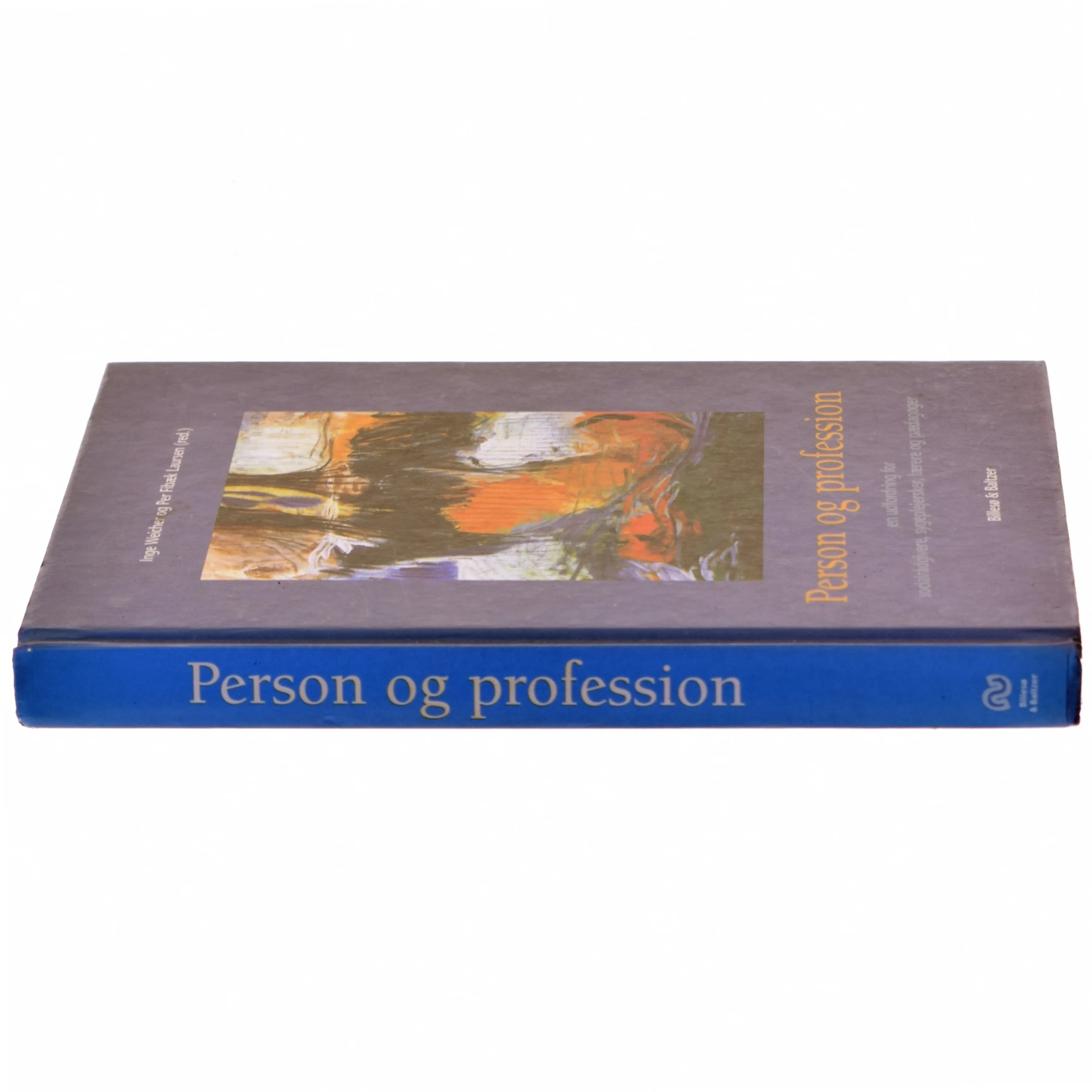 Person og profession : en udfordring for socialrådgivere, sygeplejersker, lærere og pædagoger (Bog)