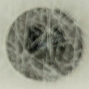 Troels Trier - dobbeltgængeren (Bog)