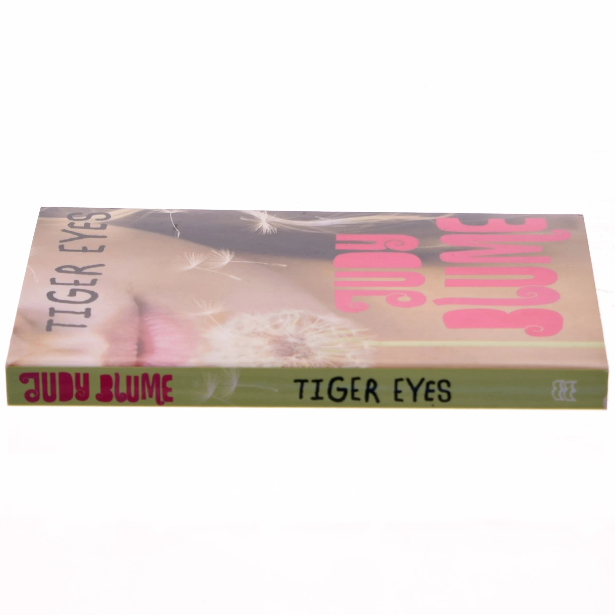 Tiger Eyes af Jydy Blume (Bog)