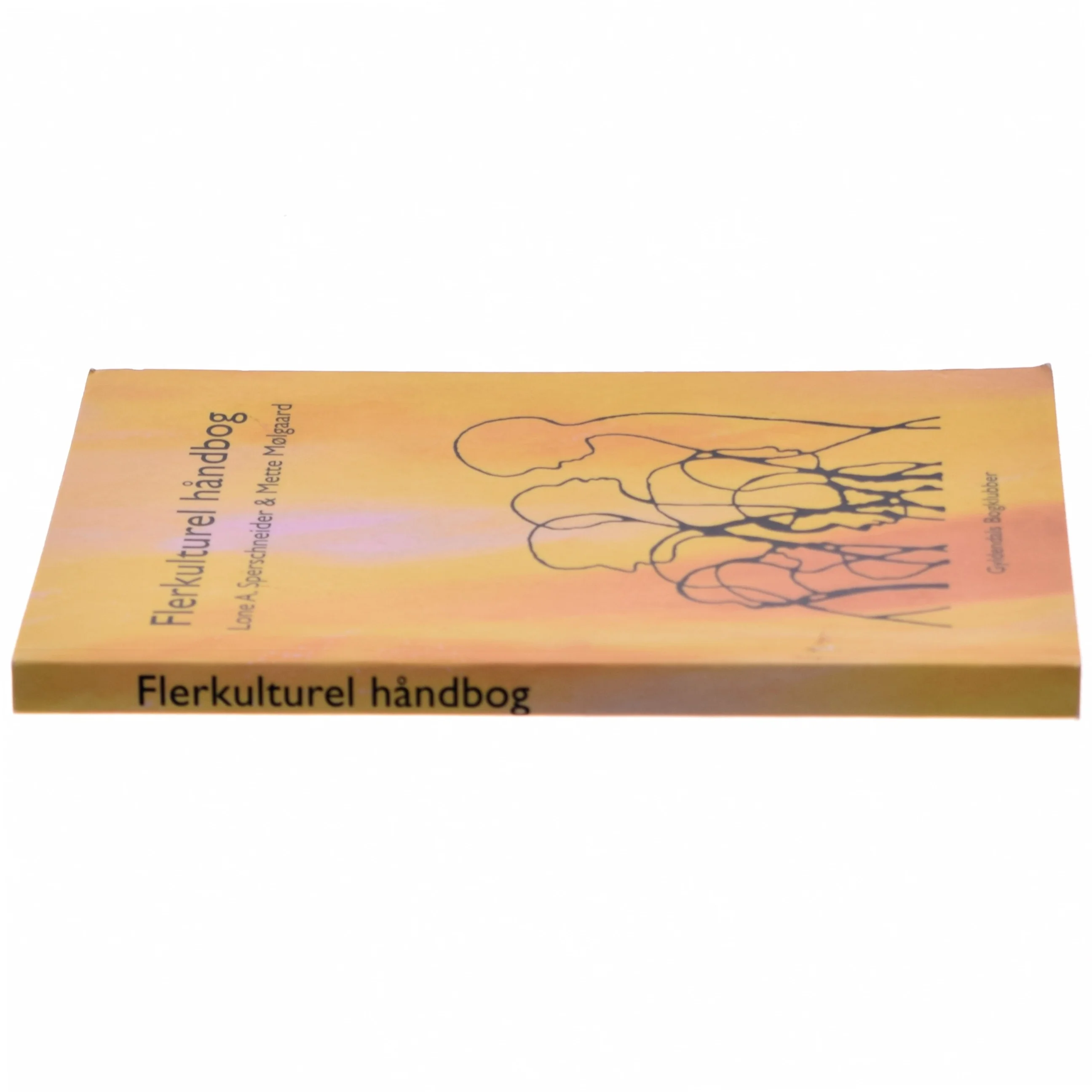 Flerkulturel håndbog (Bog)