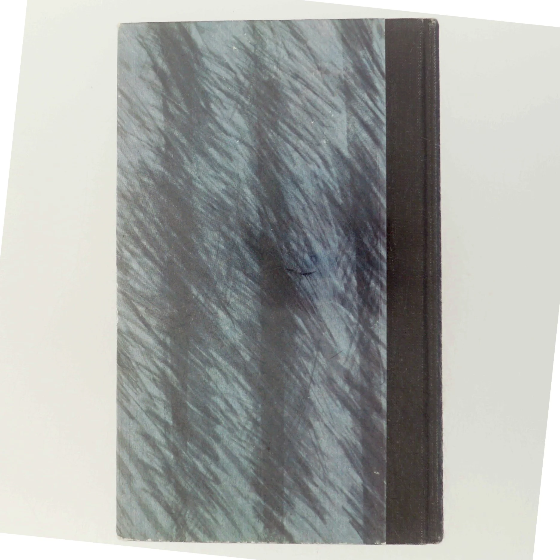 Biografi 'Fange i nat og tåge'