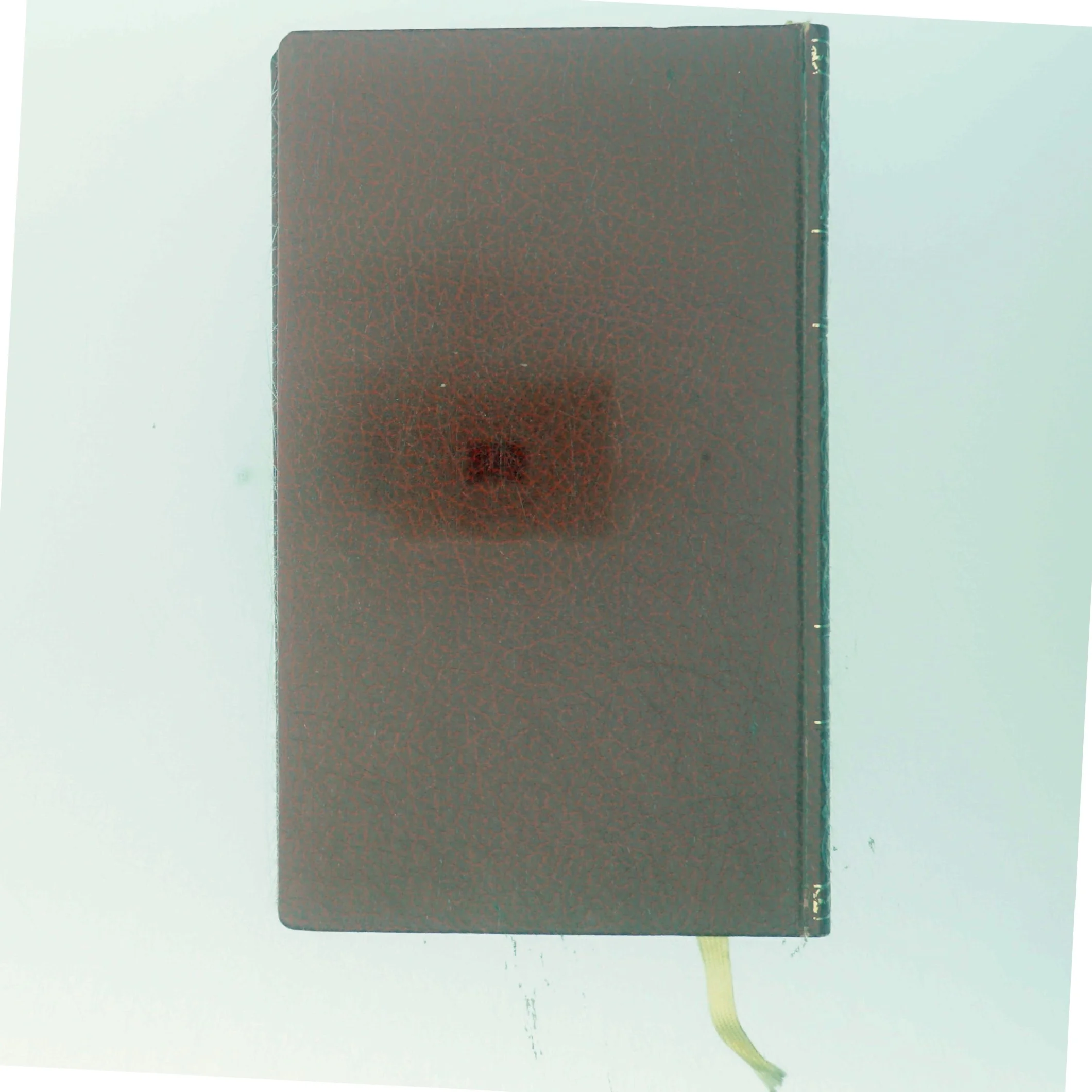 Den fortryllede vandringsmands af Leskov (Bog) (str. Middel)