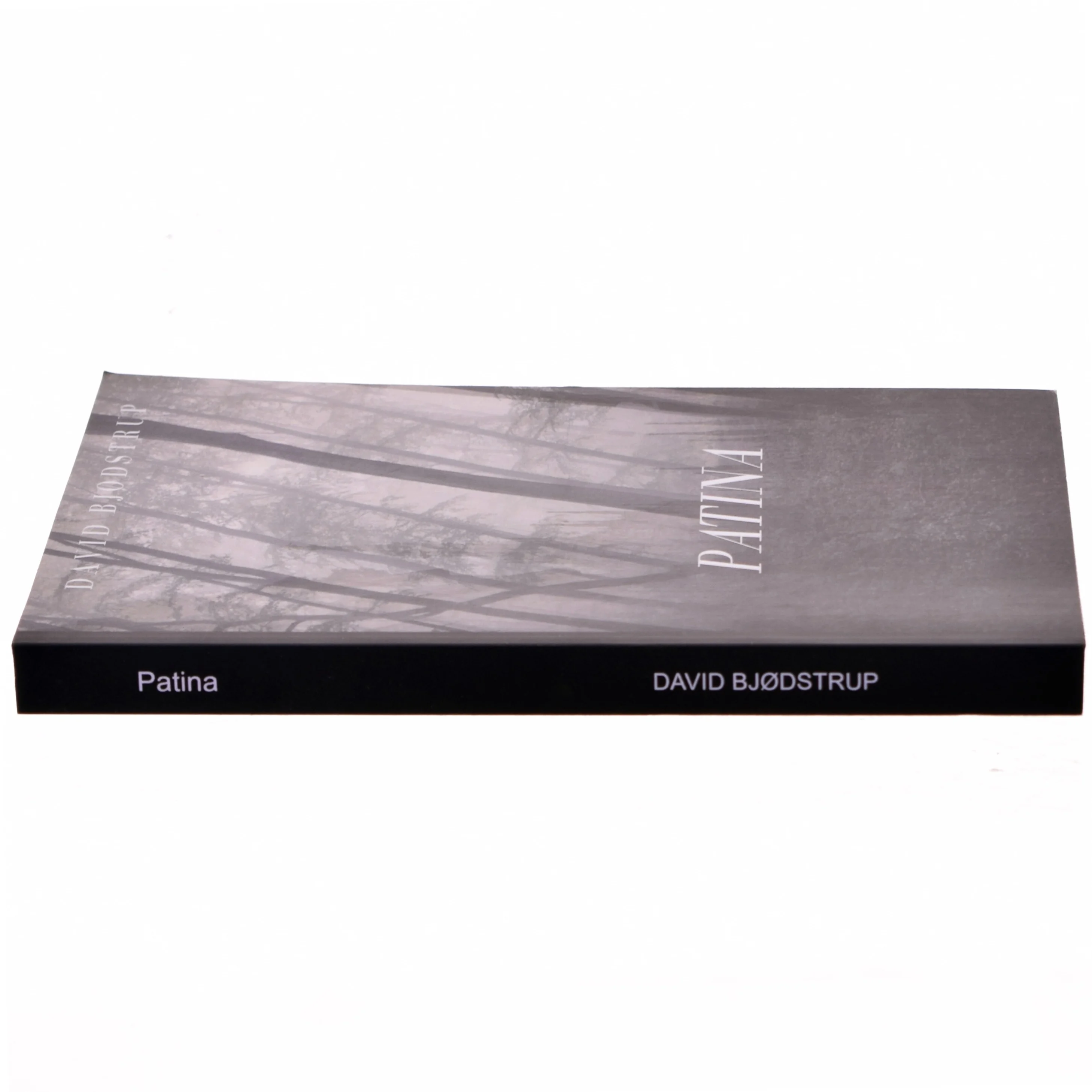 Patina af David Bjødstrup