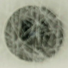 På udkig efter Hemingway af Leif Davidsen (Bog)