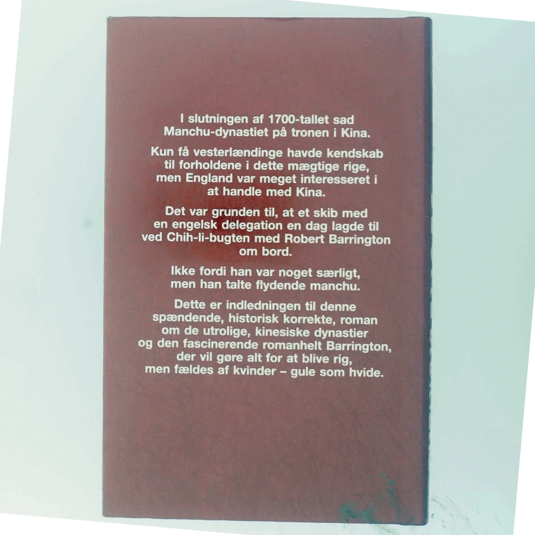 Roman 'De Otte Bannere'