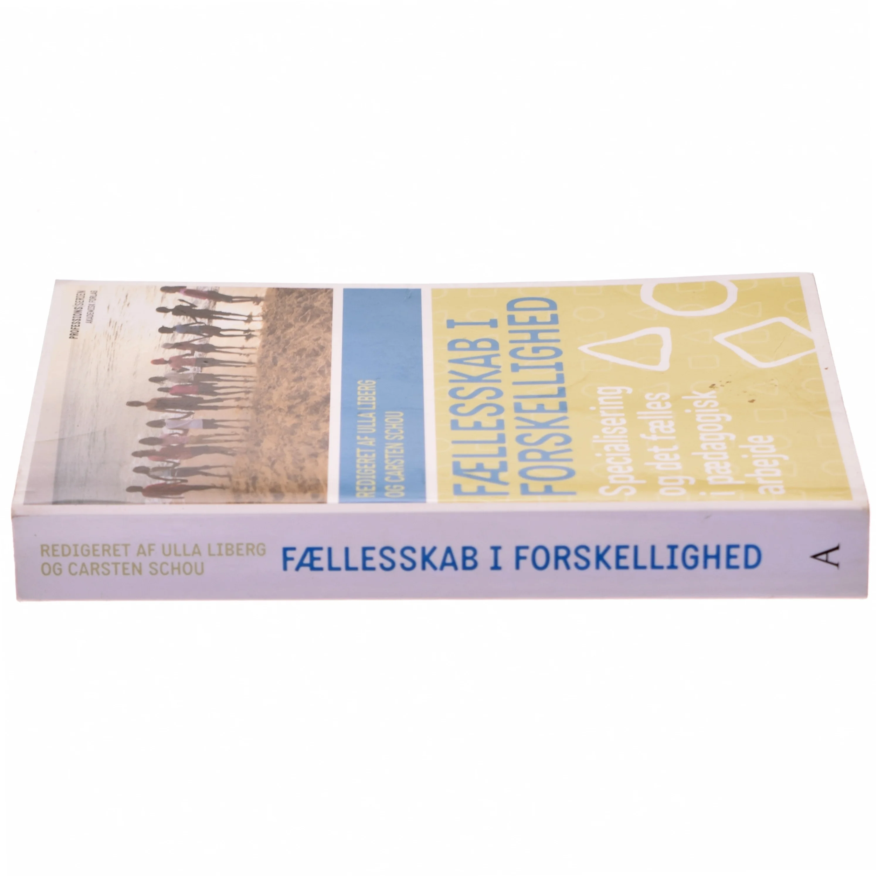 Fællesskab i forskellighed : specialisering og det fælles i pædagogisk arbejde (Bog)