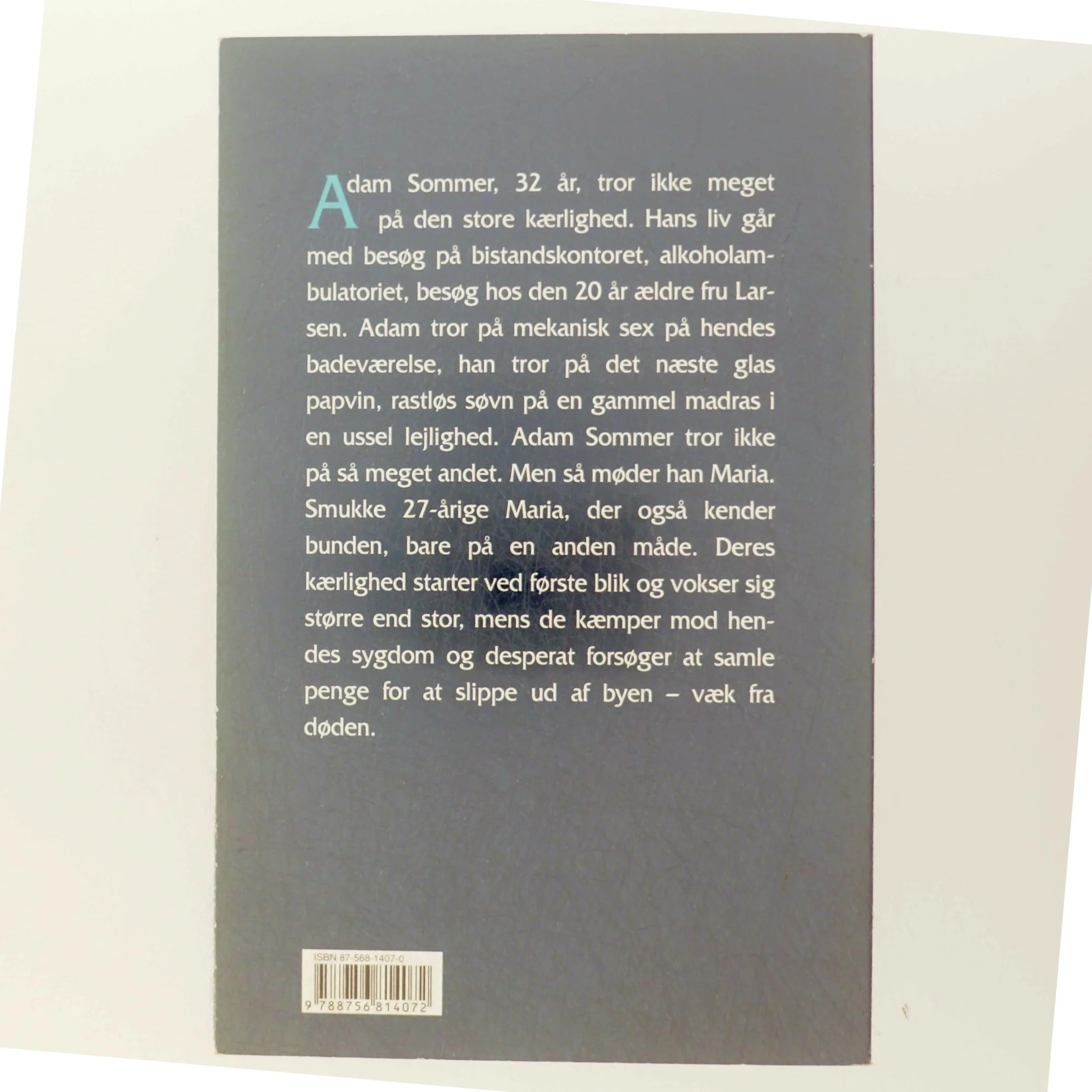 Sommers vinter : roman af Sven Assels (Bog)