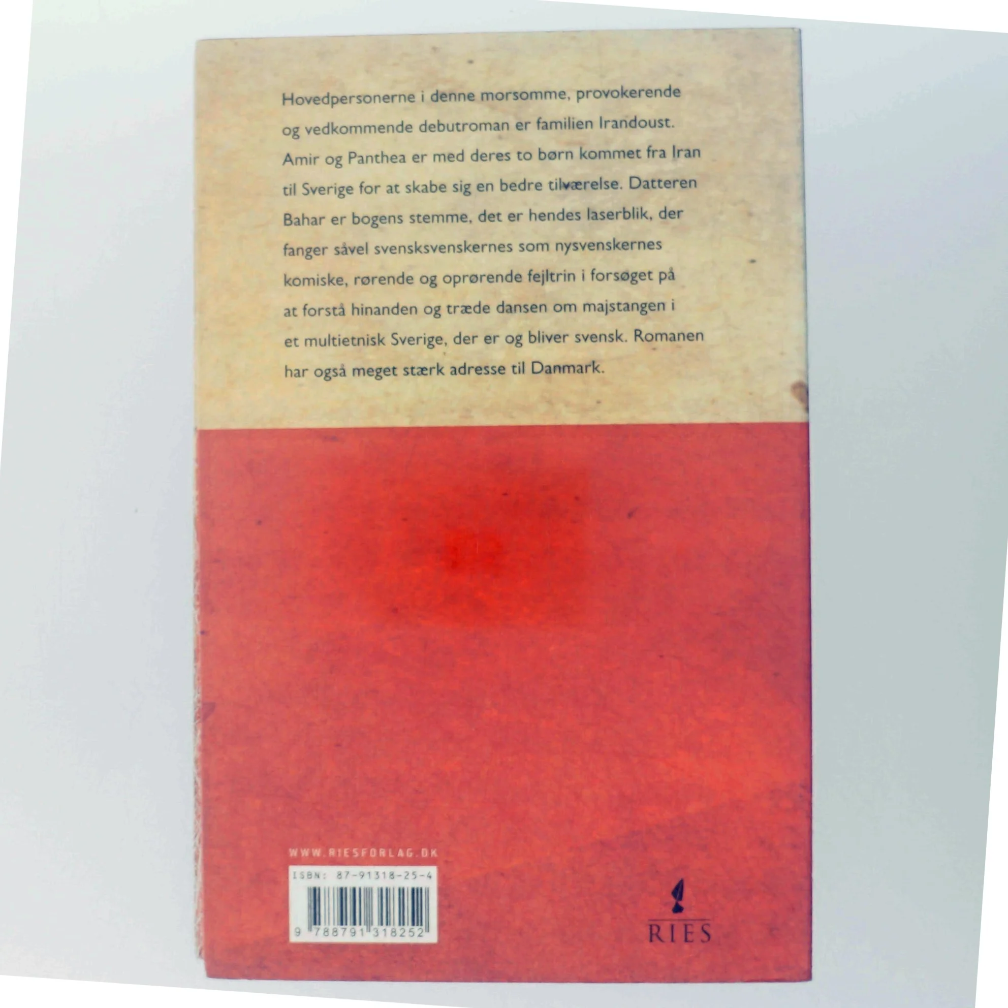 Kald det, hvad fanden du vil af Marjaneh Bakhtiari (Bog)