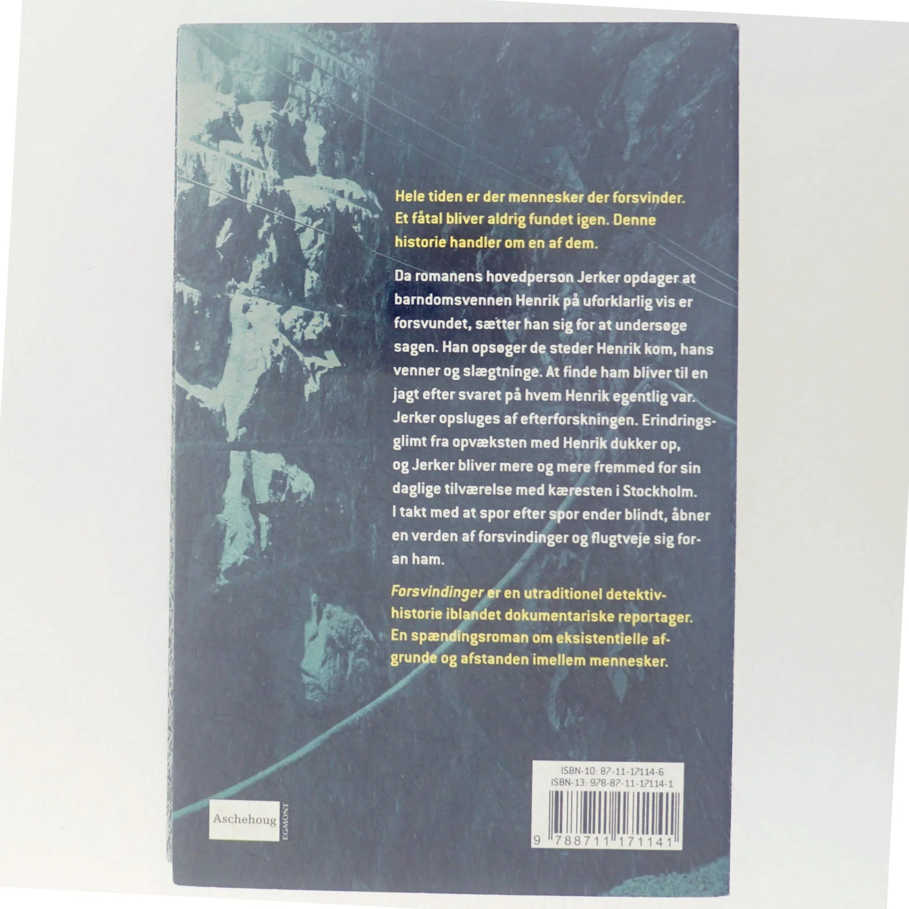 Forsvindinger : en efterforskning af Jerker Virdborg (Bog)