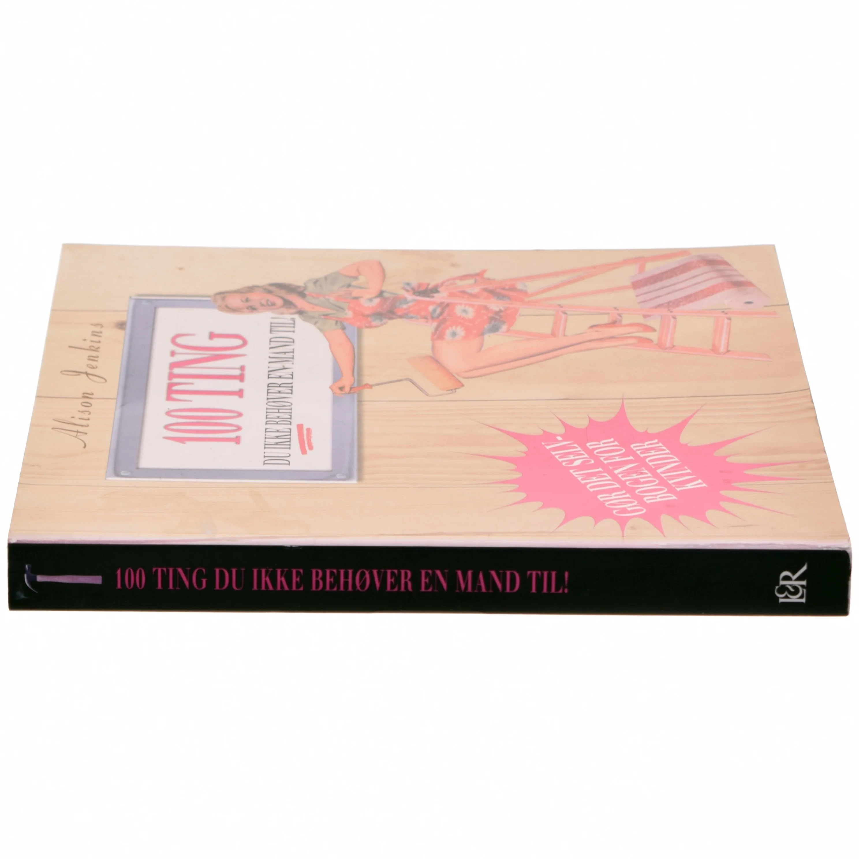 100 ting du ikke behøver en mand til! : reparationer og forbedringer i hjemmet af Alison Jenkins (Bog)