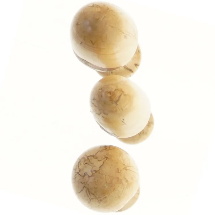 Dekorative svampe i træ (str. 10-14 cm)