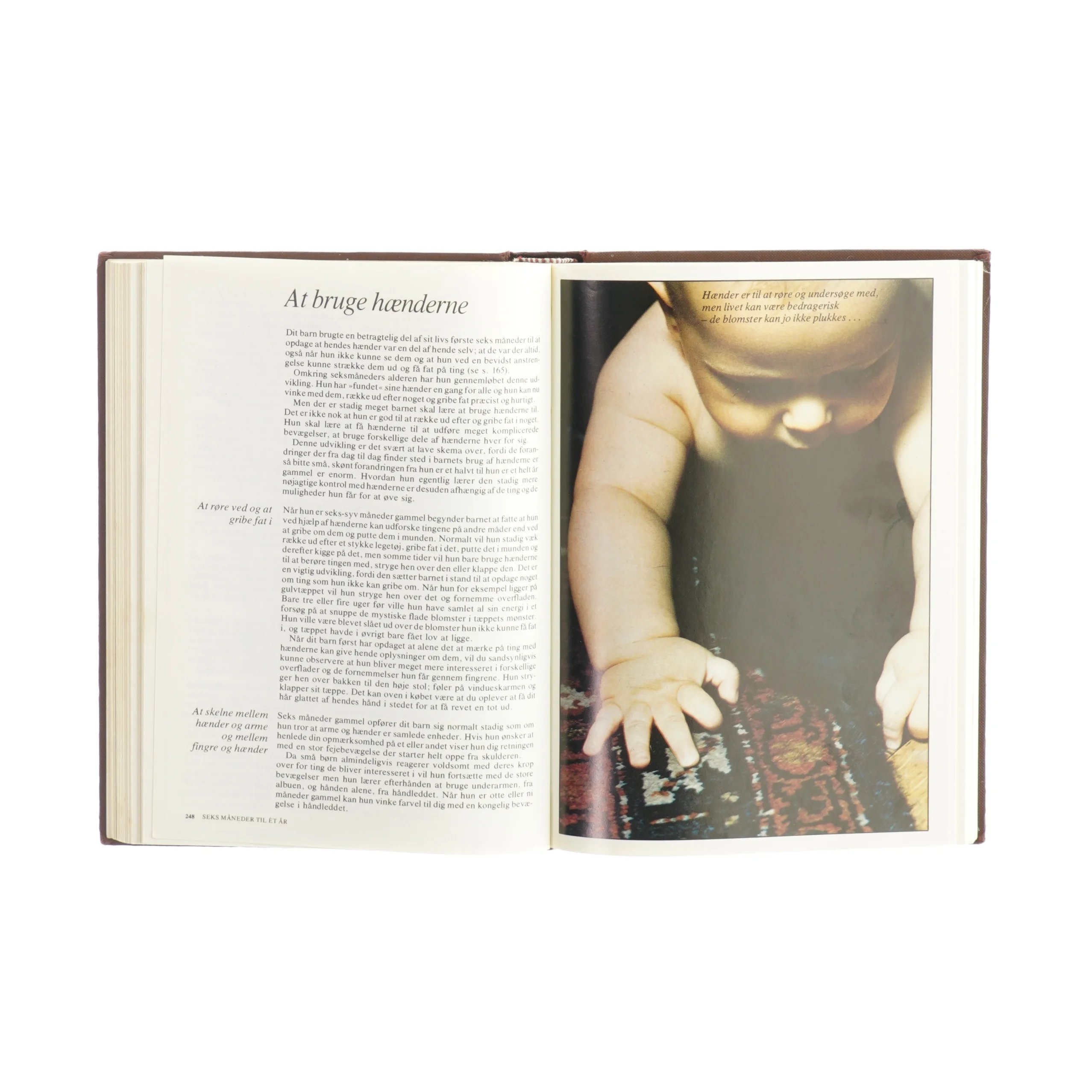 Vores barnaf Penelope Leach fra Bog