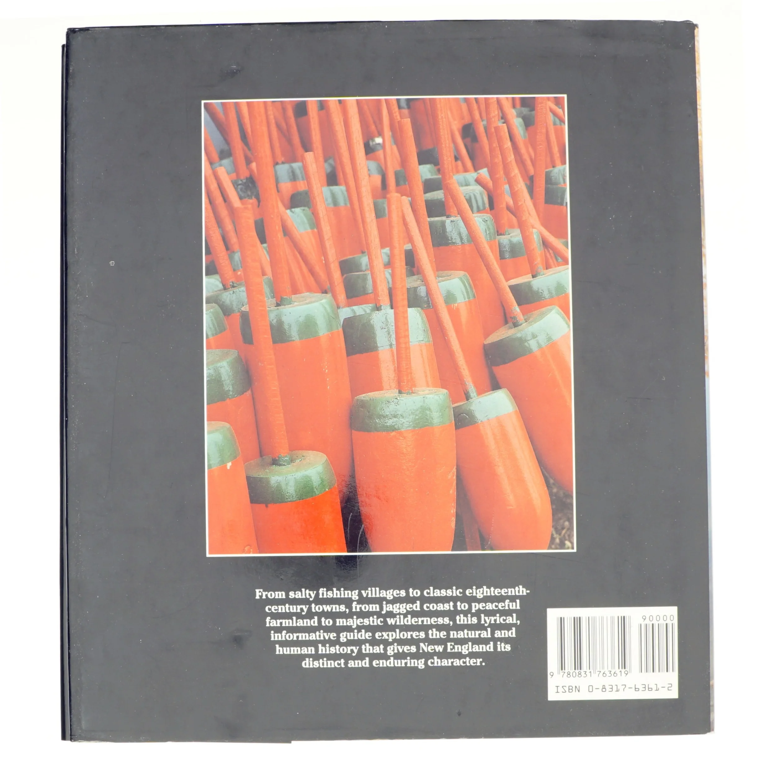 Reflections of New England af Ellen Lesser (Bog)