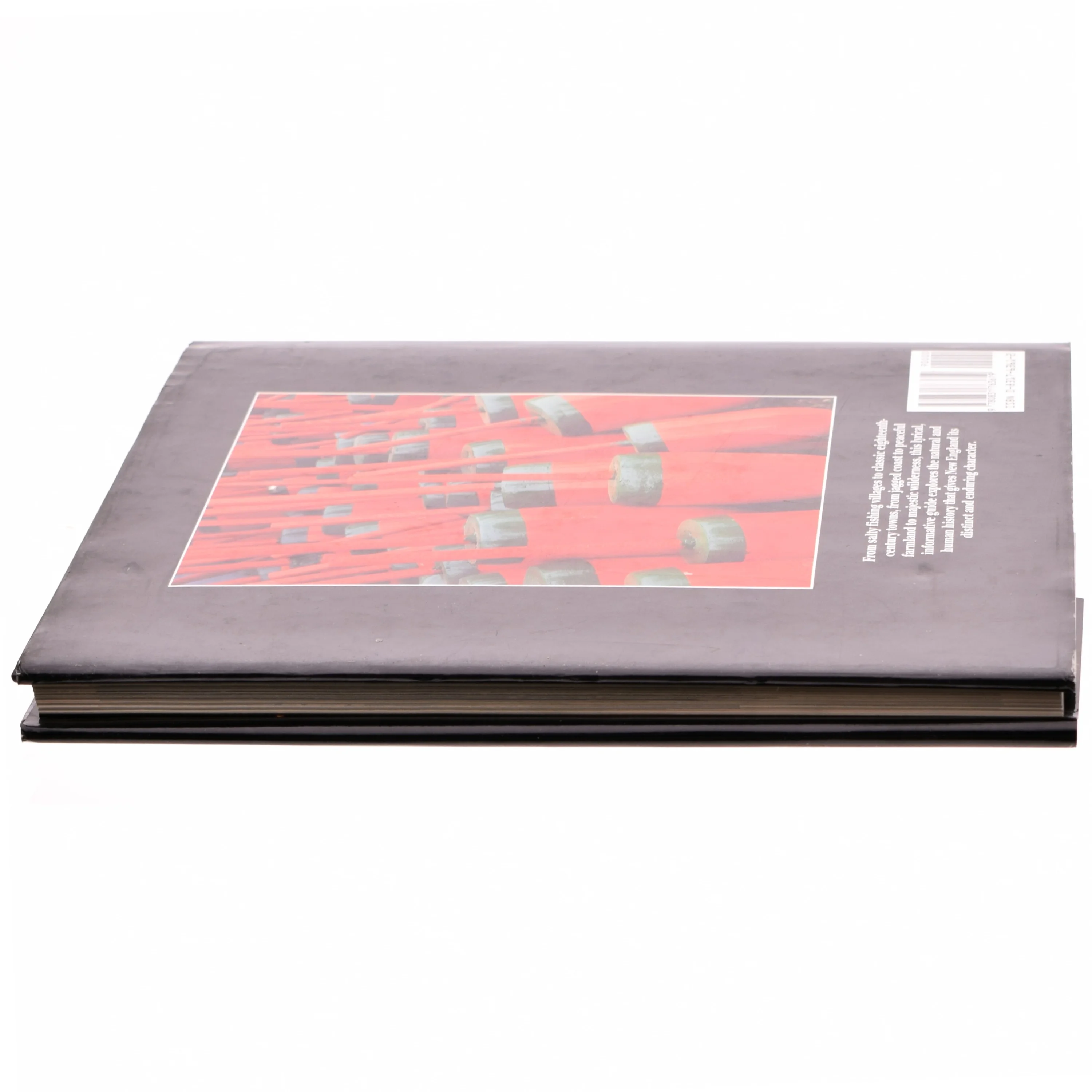 Reflections of New England af Ellen Lesser (Bog)